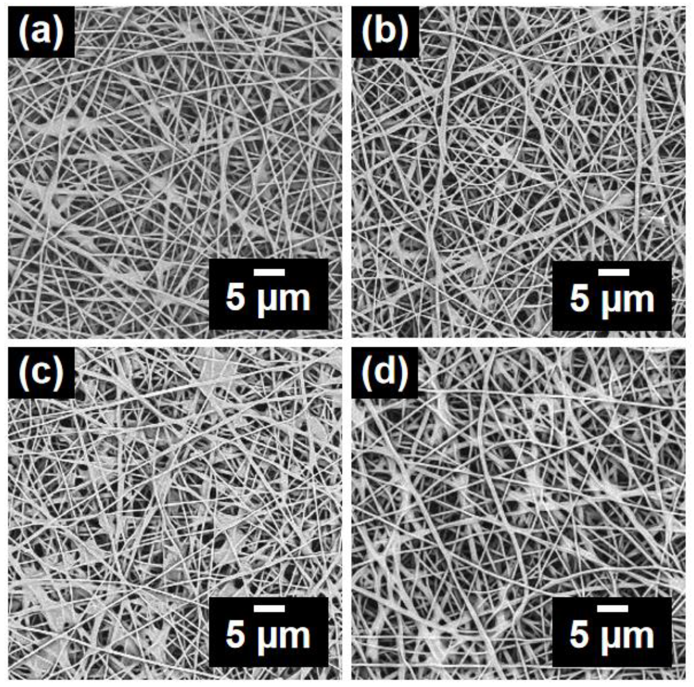 Polymers 14 05295 g005