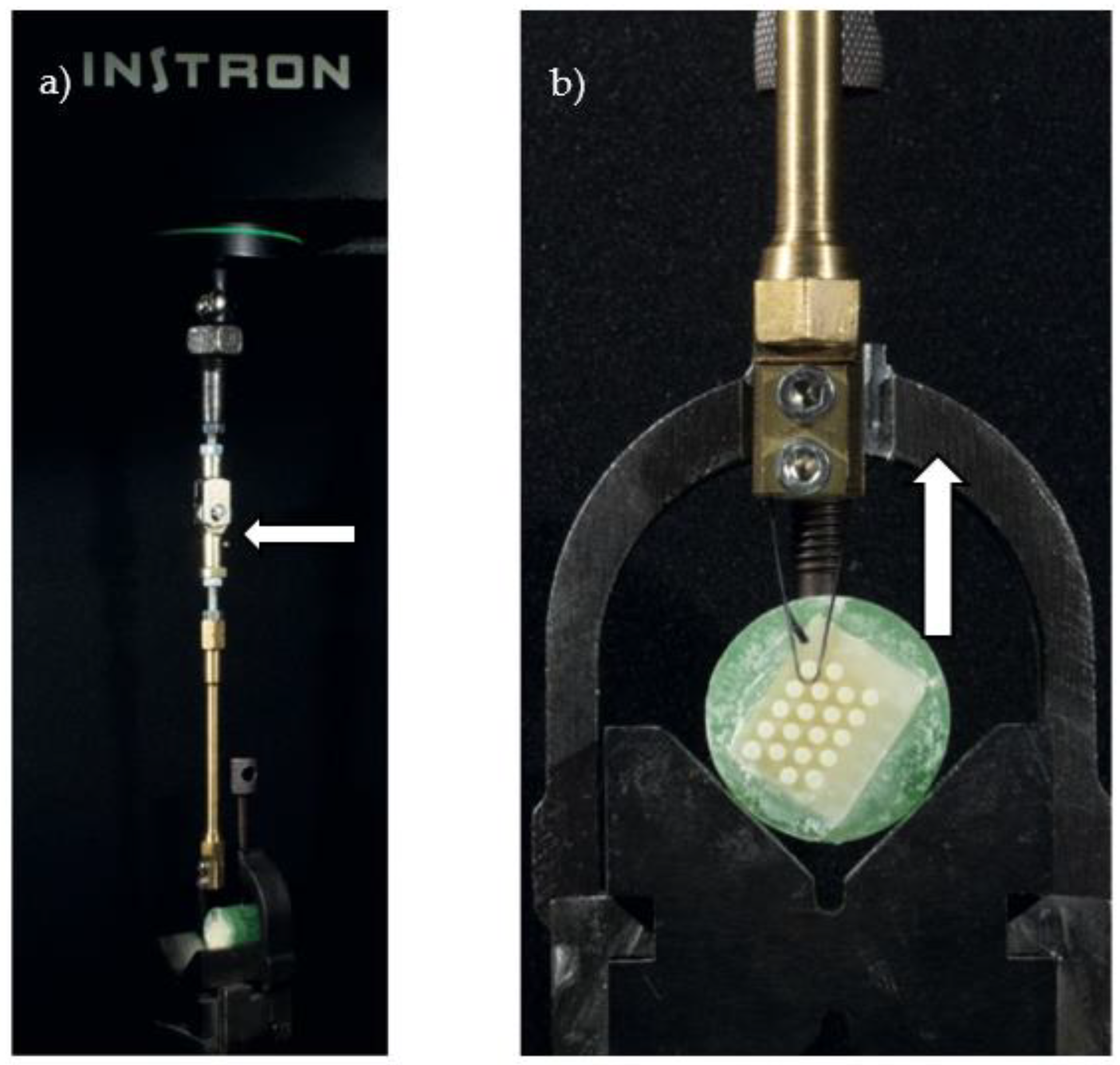 Polymers 14 05301 g002