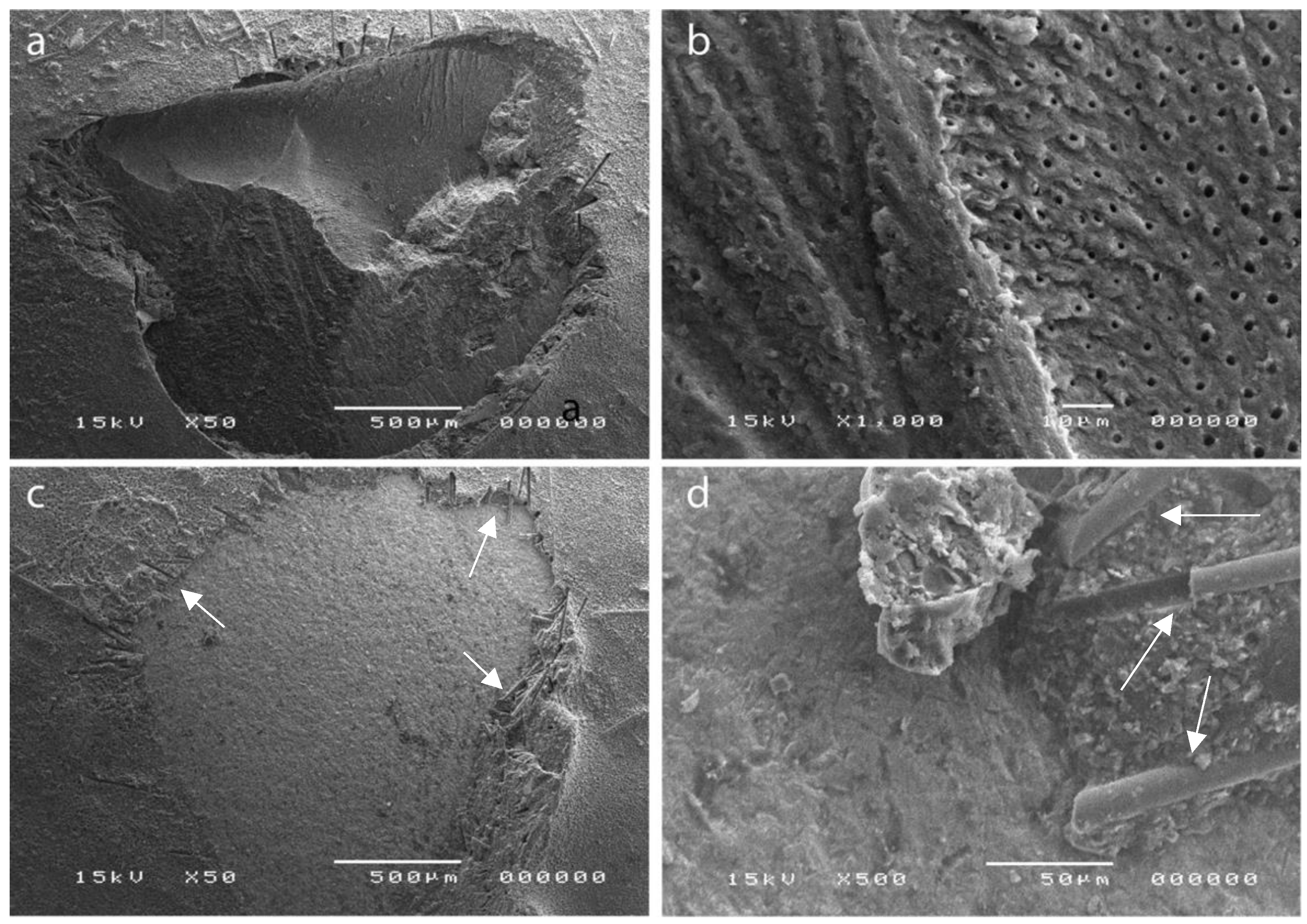 Polymers 14 05301 g006