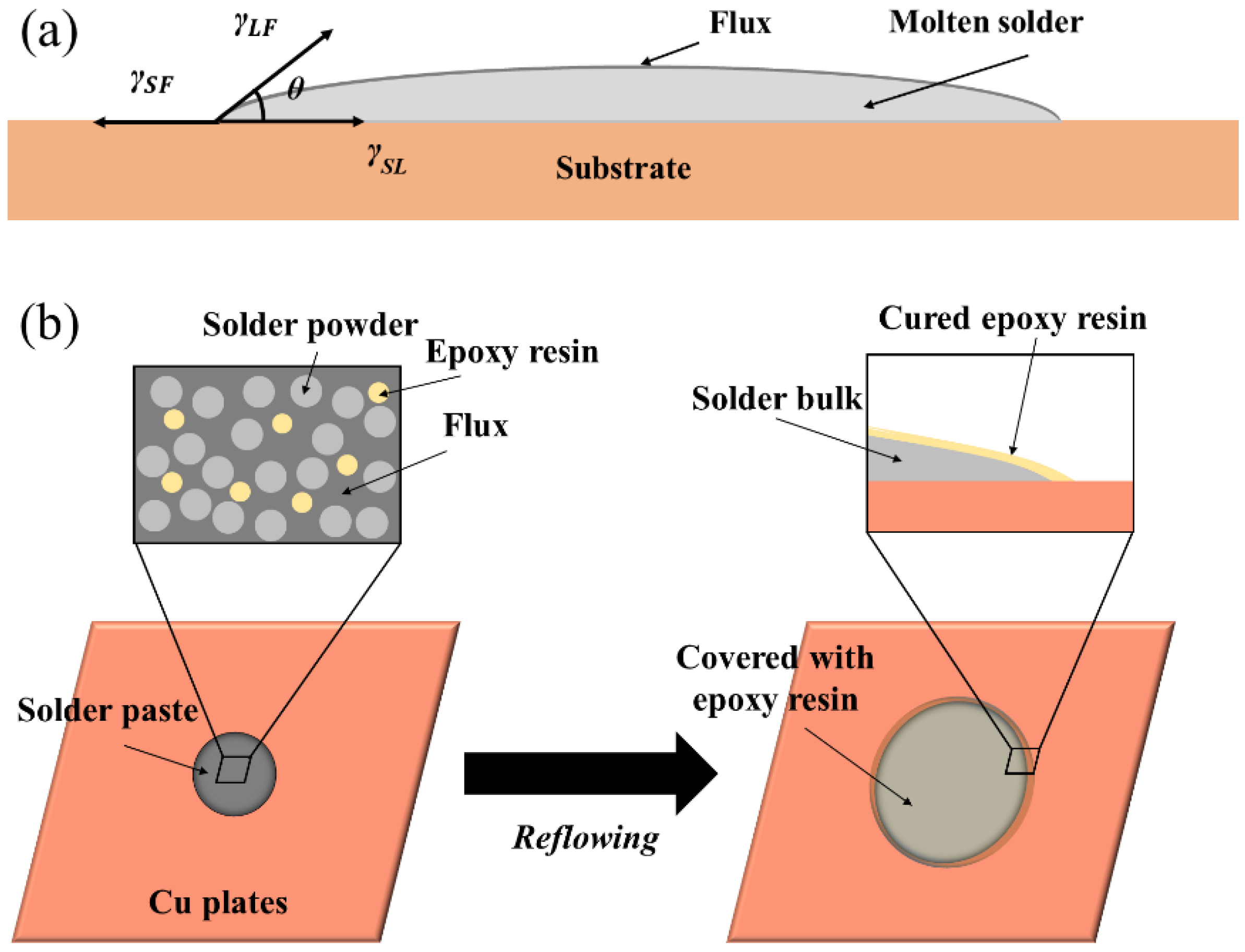 Polymers 14 05303 g002