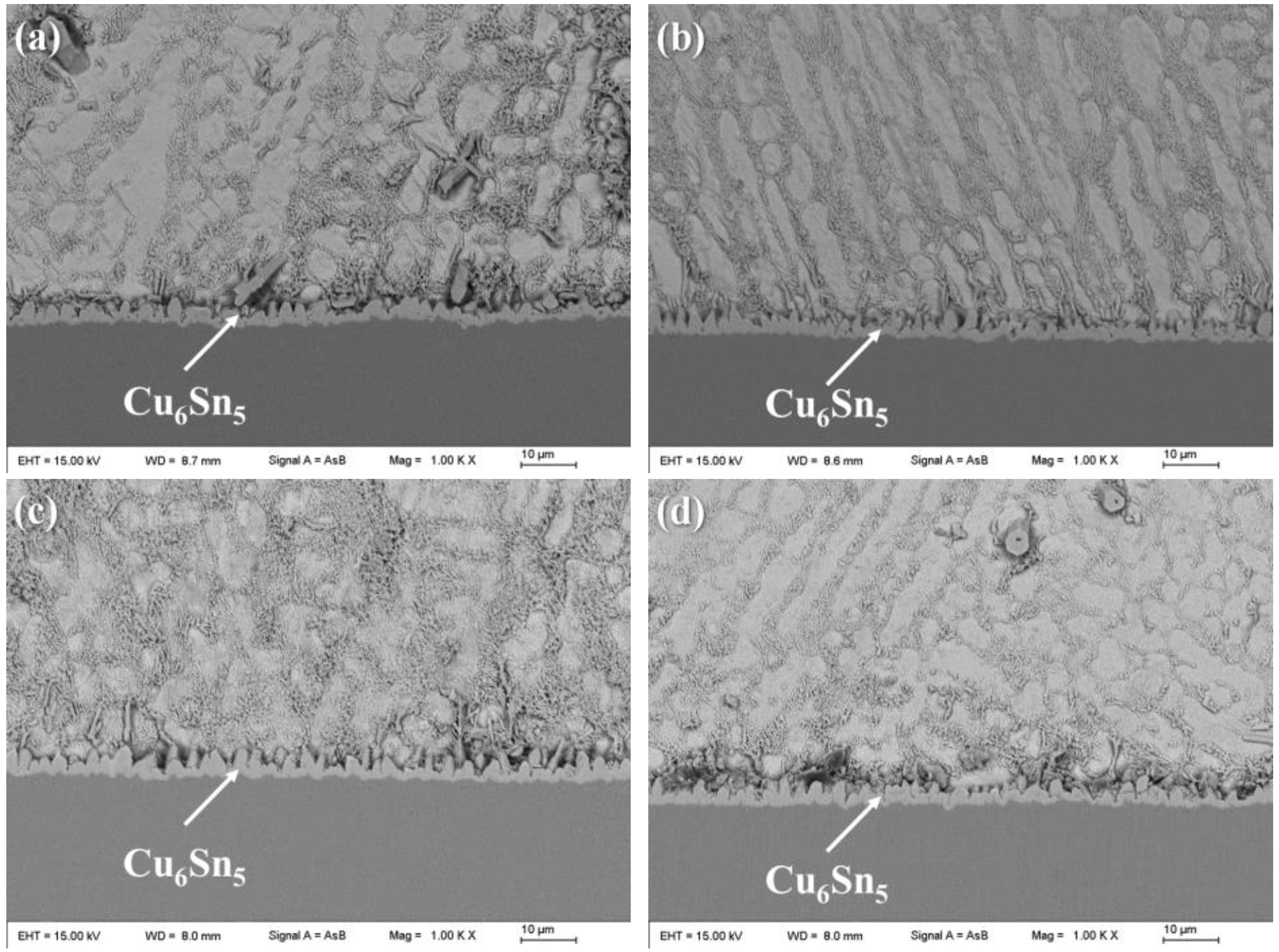 Polymers 14 05303 g008