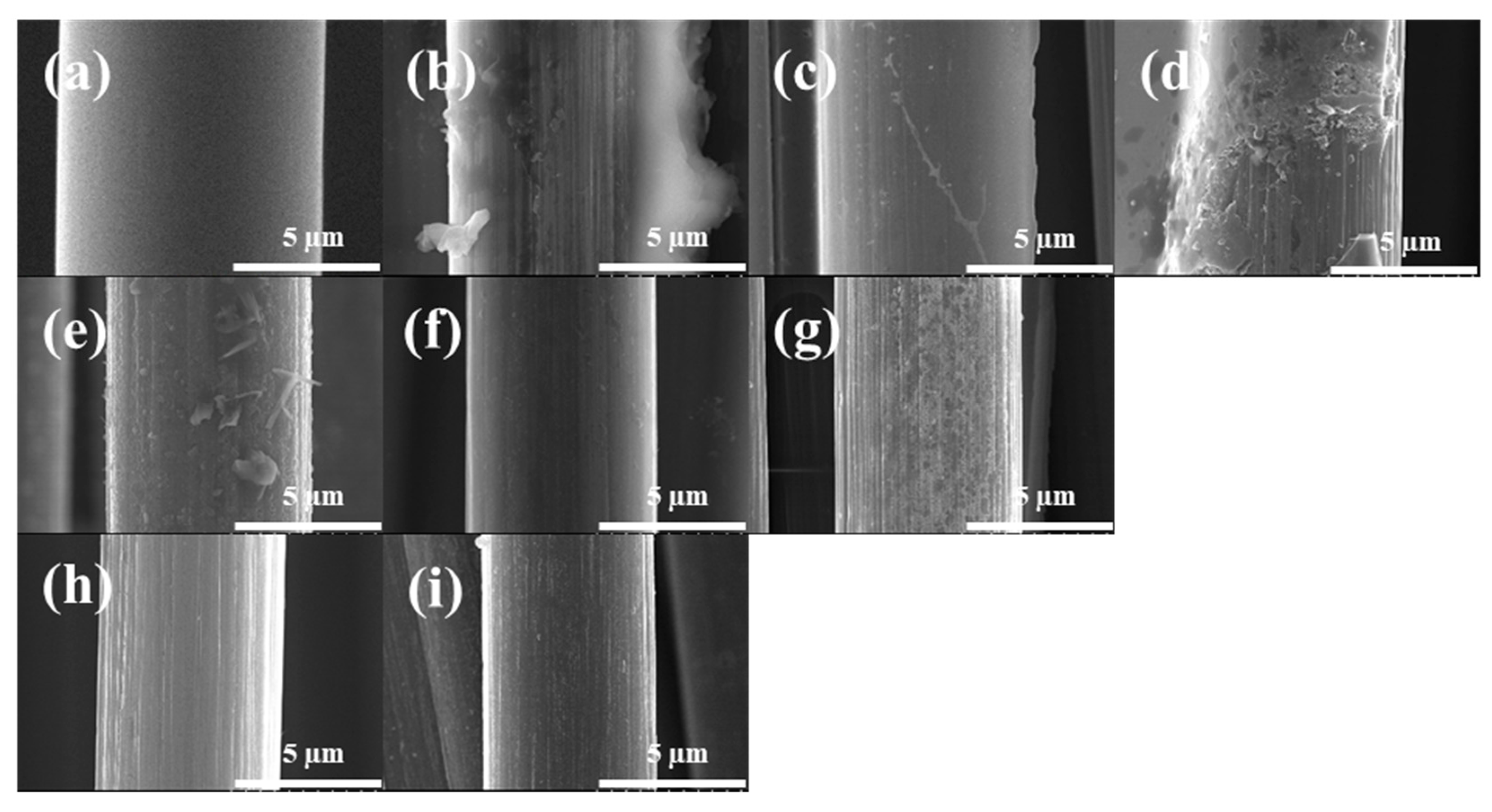 Polymers 14 05304 g006 Polymers 14 05304 g006