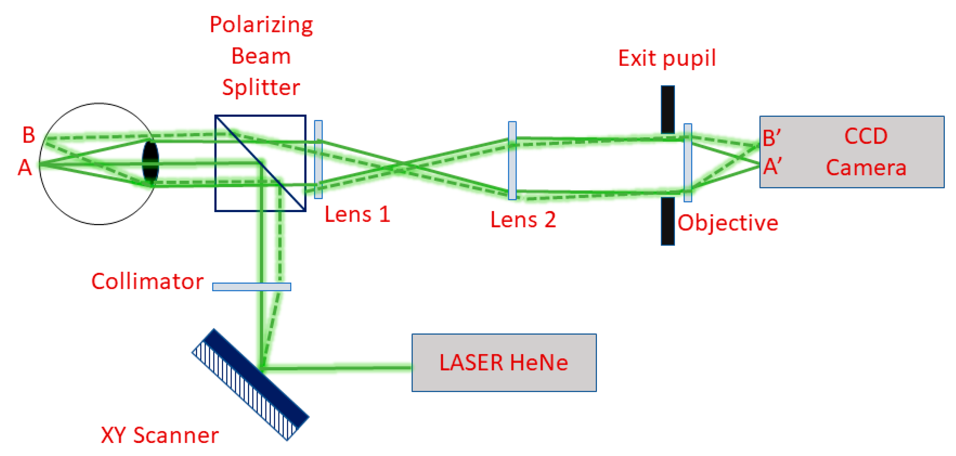 Polymers 14 05321 g012