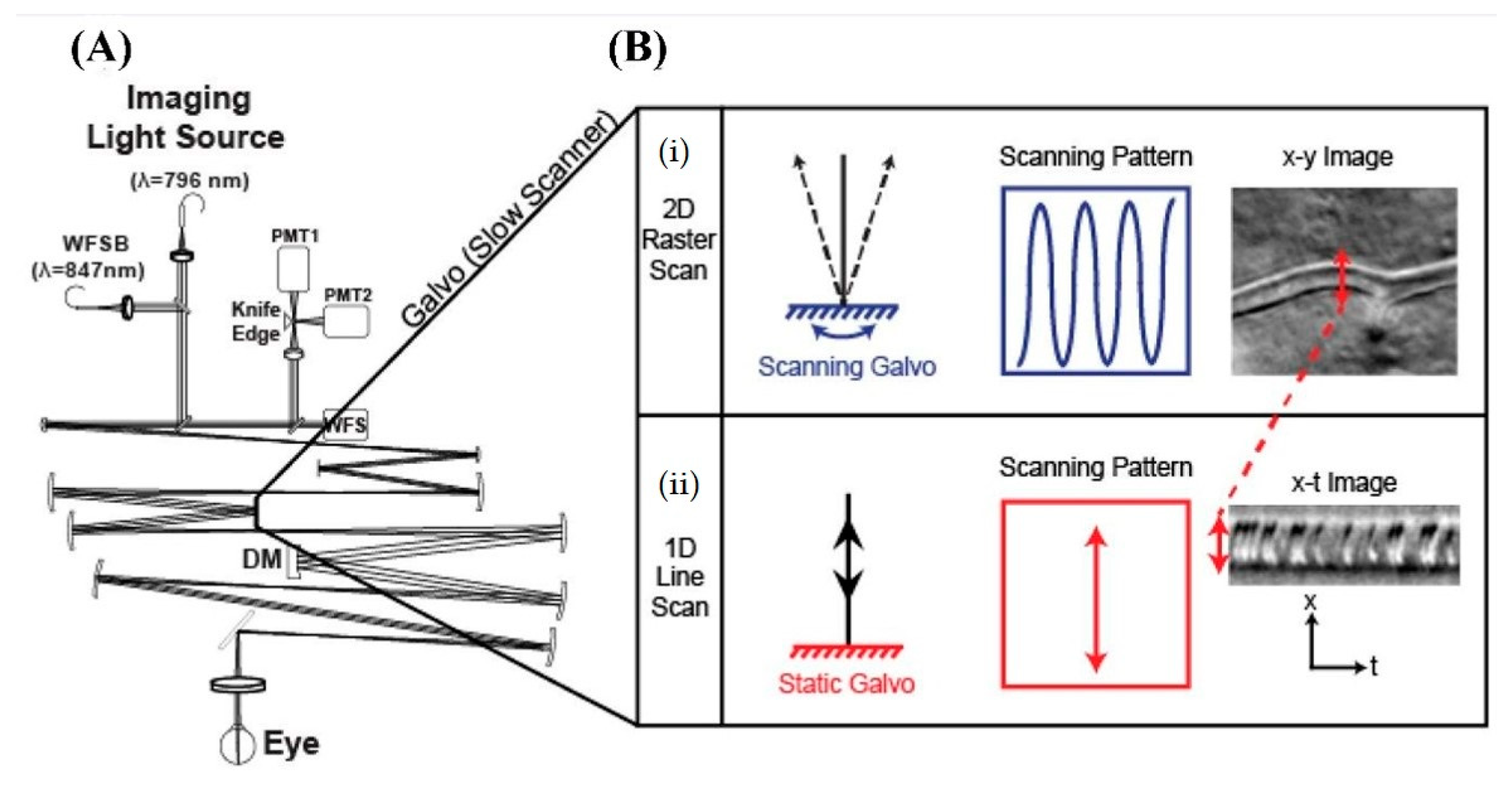Polymers 14 05321 g023