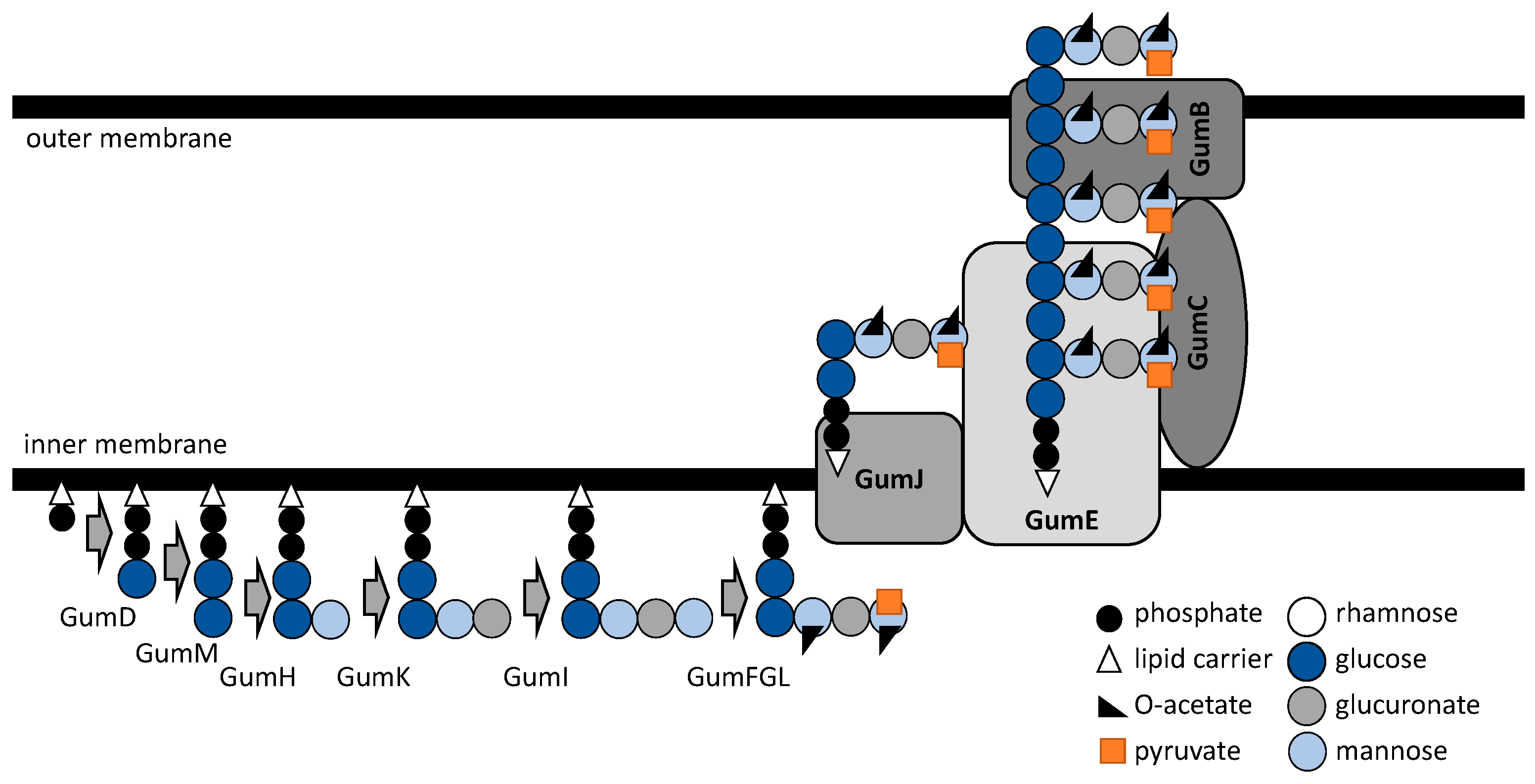Polymers 14 05326 g001