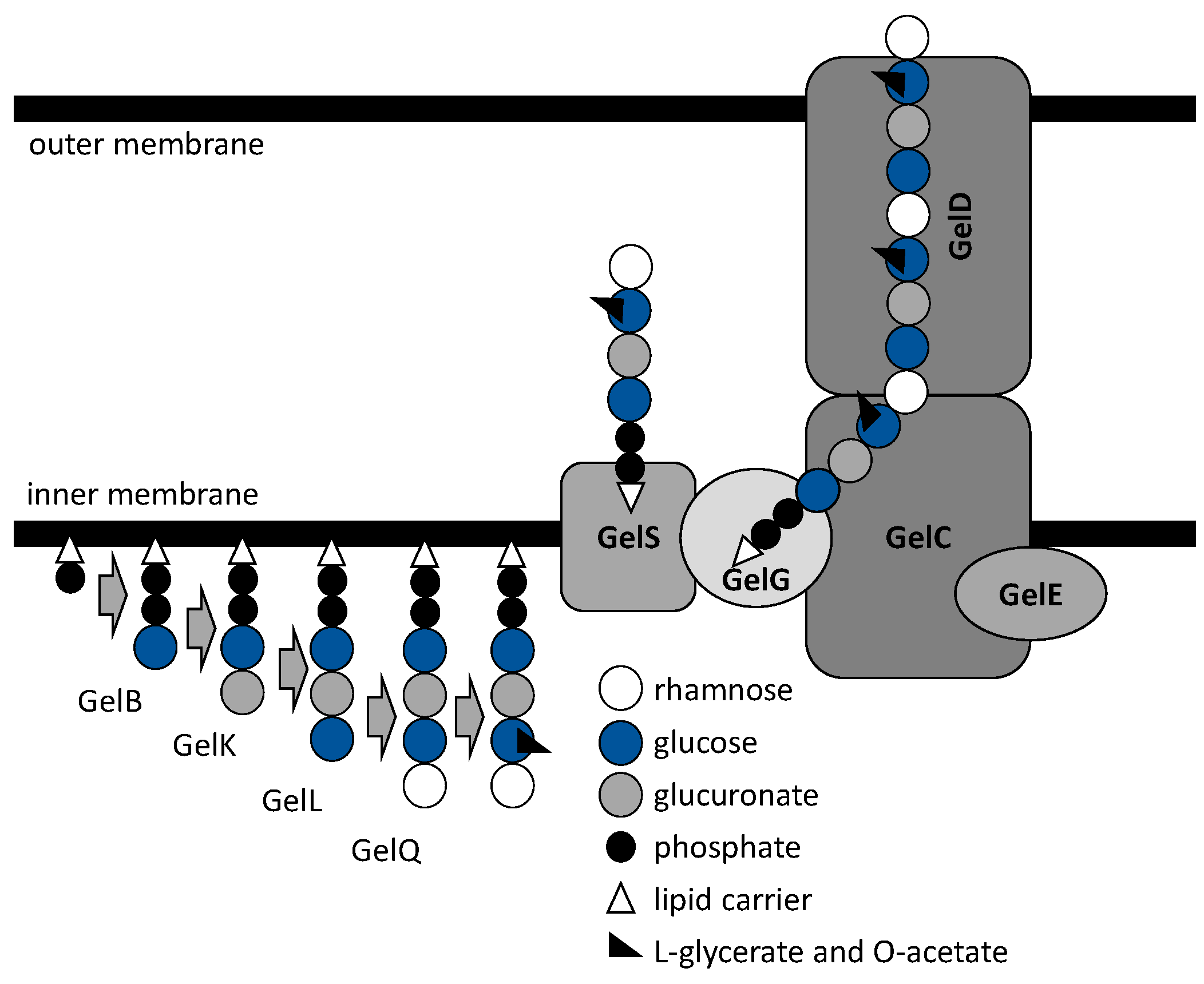 Polymers 14 05326 g002