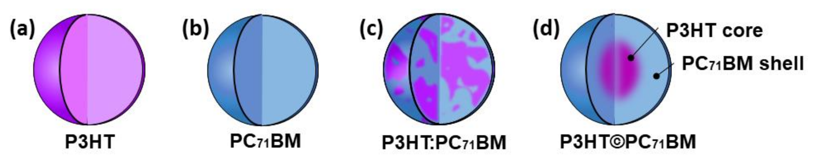 Polymers 14 05336 g001