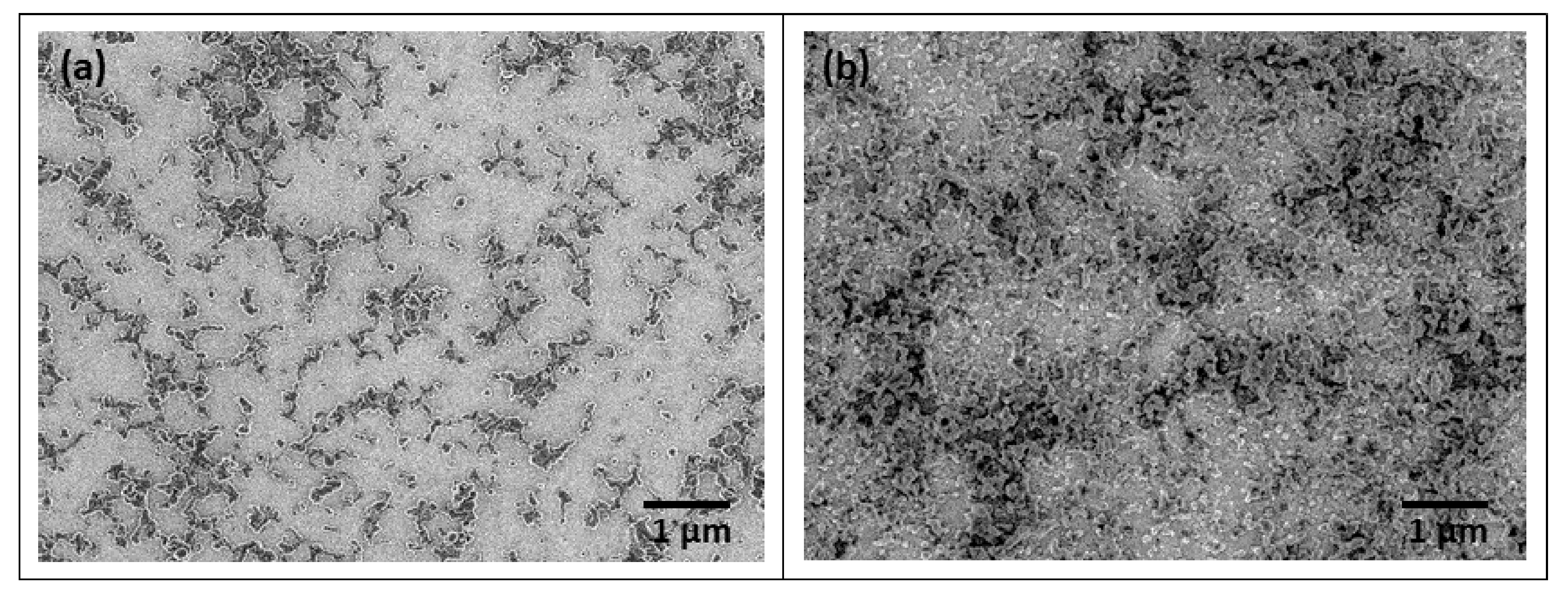 Polymers 14 05336 g004