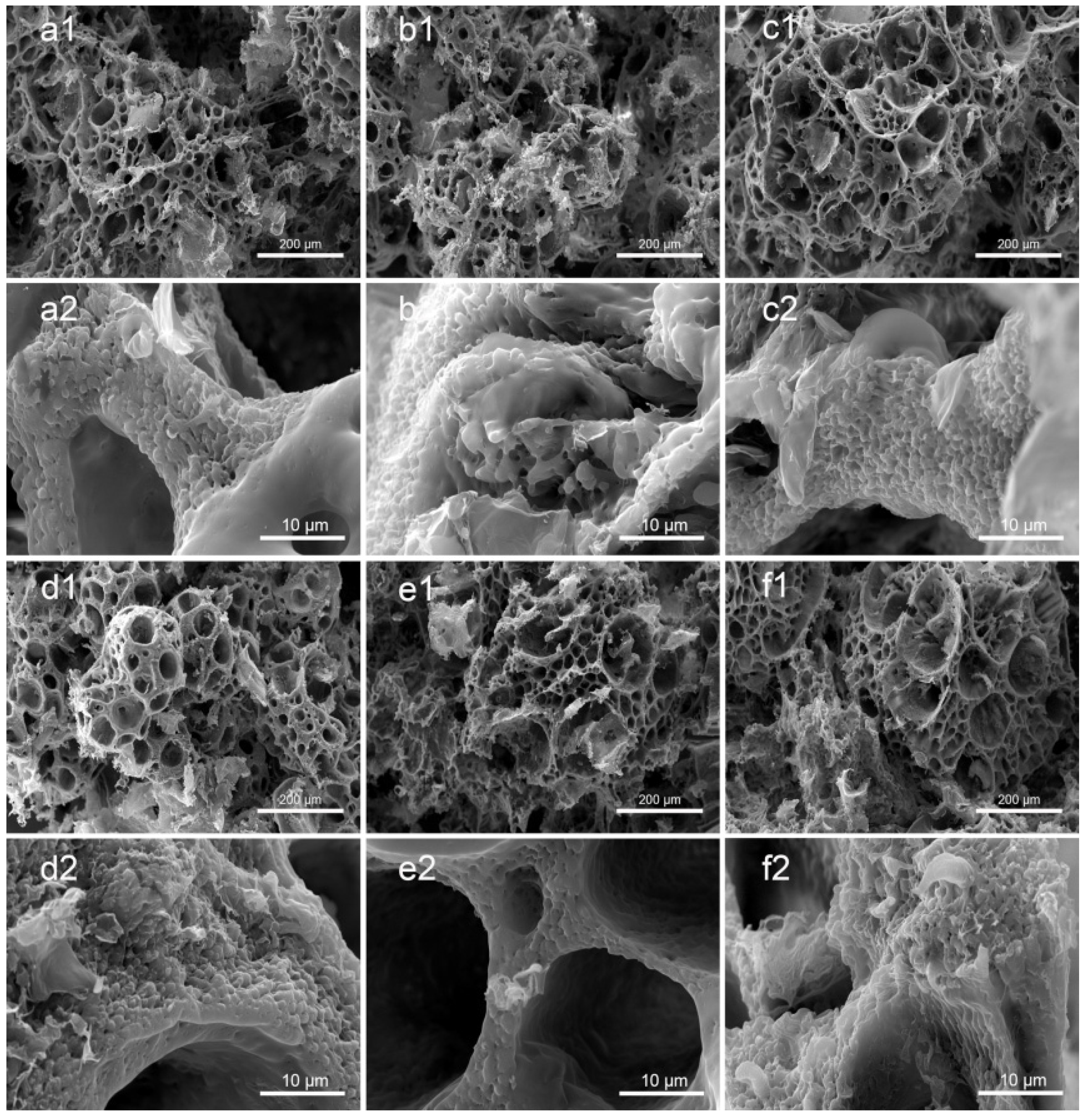 Polymers 14 05348 g002 Polymers 14 05348 g002