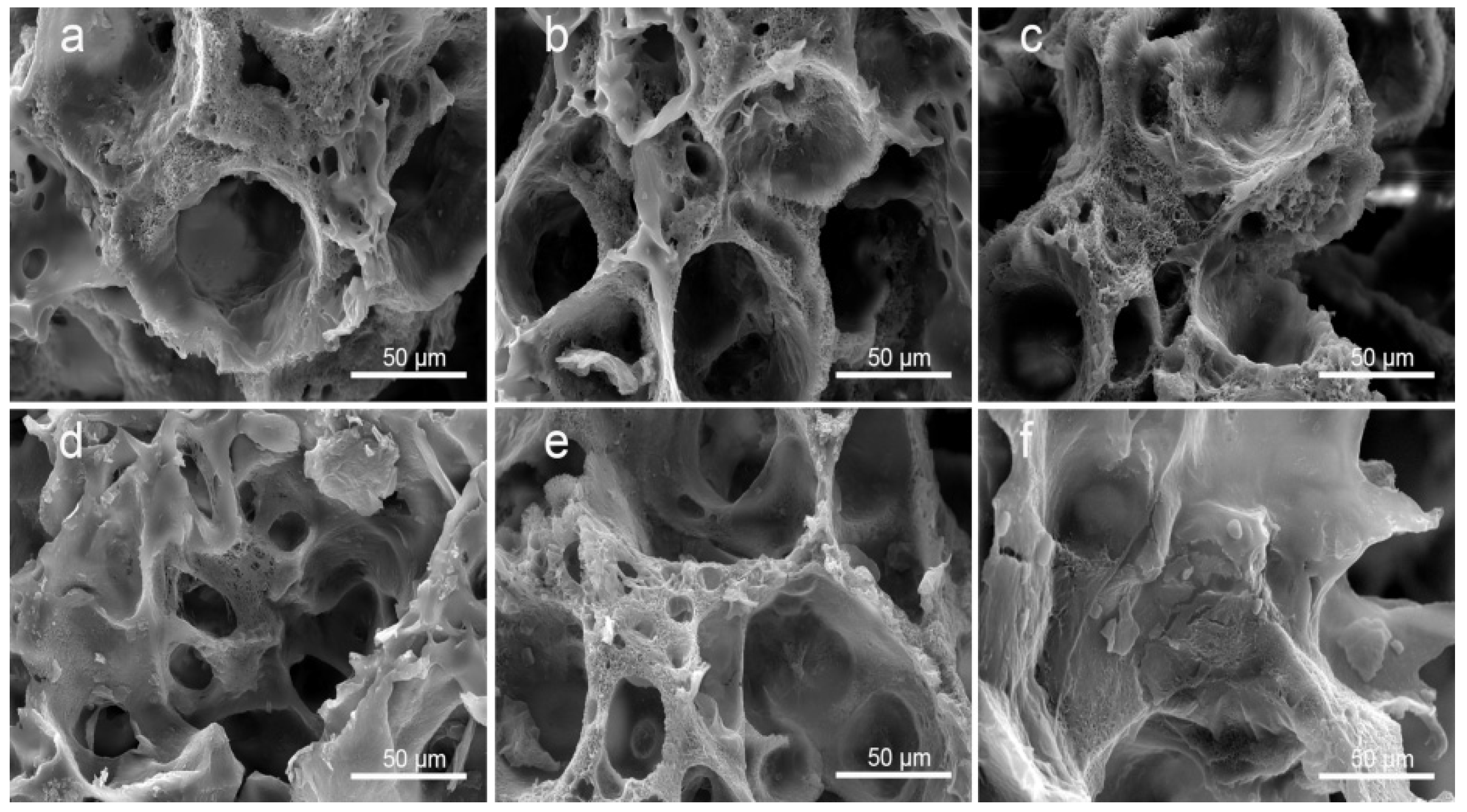Polymers 14 05348 g008 Polymers 14 05348 g008