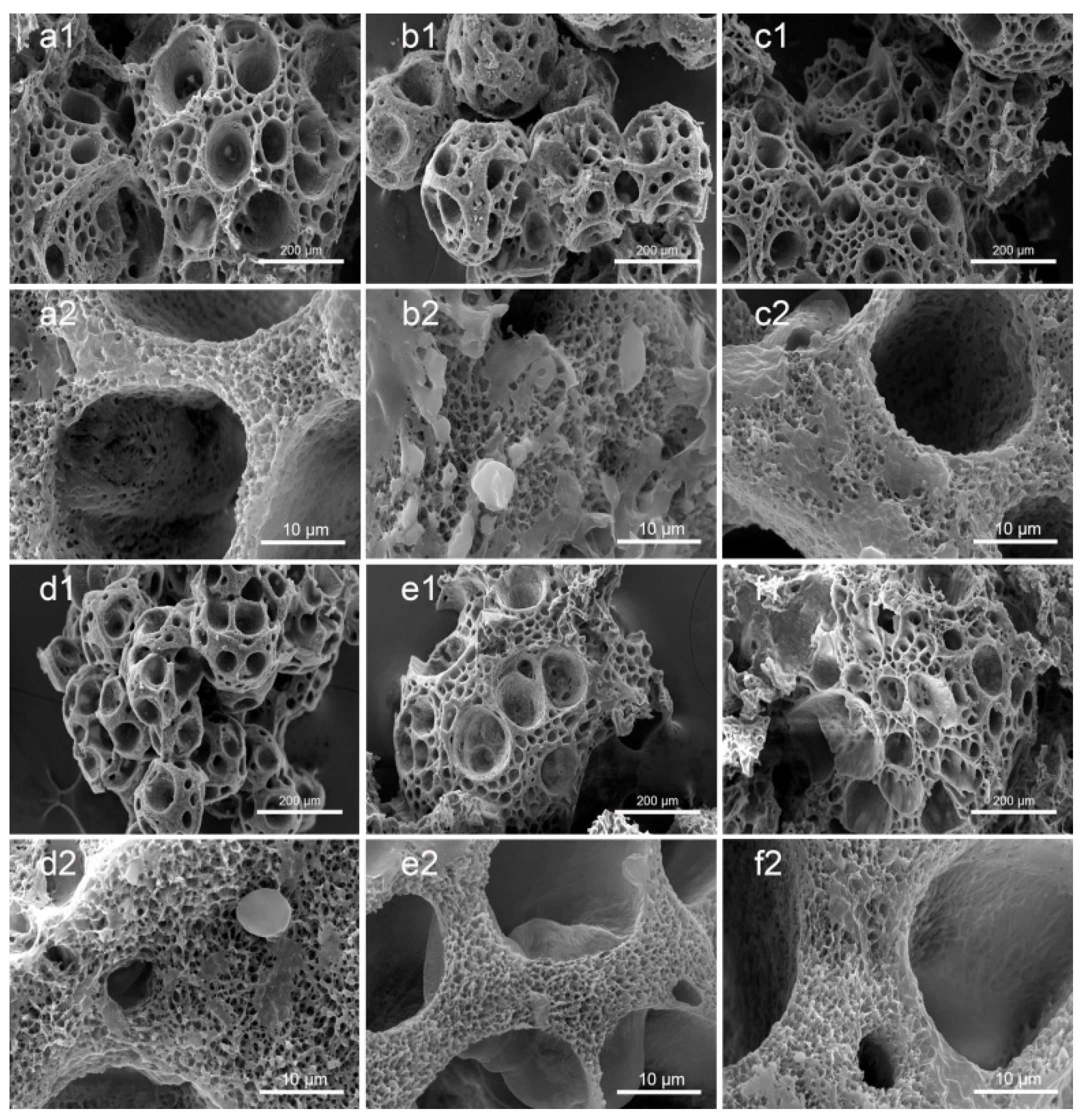 Polymers 14 05348 g011 Polymers 14 05348 g011