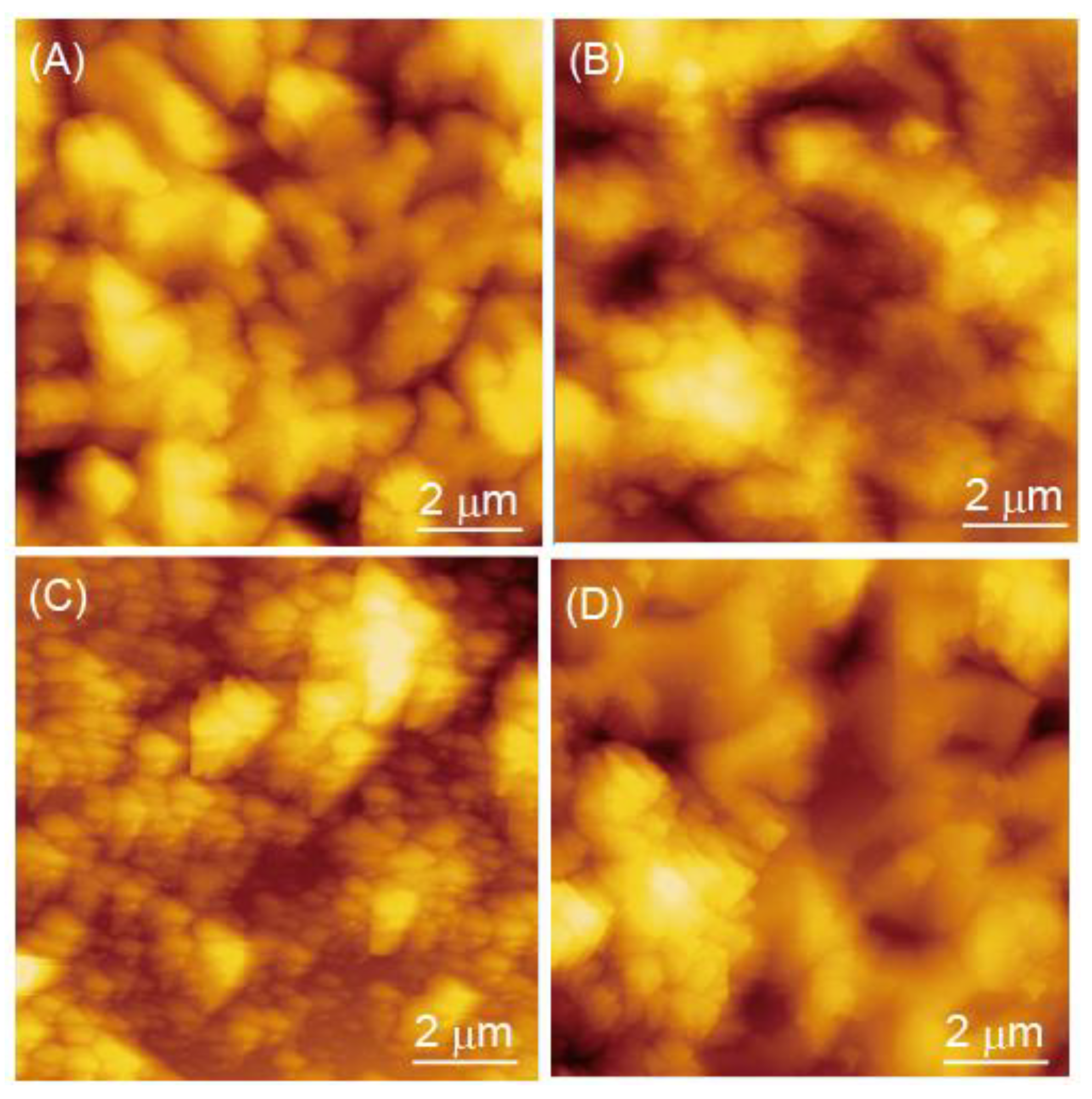 Polymers 14 05349 g005