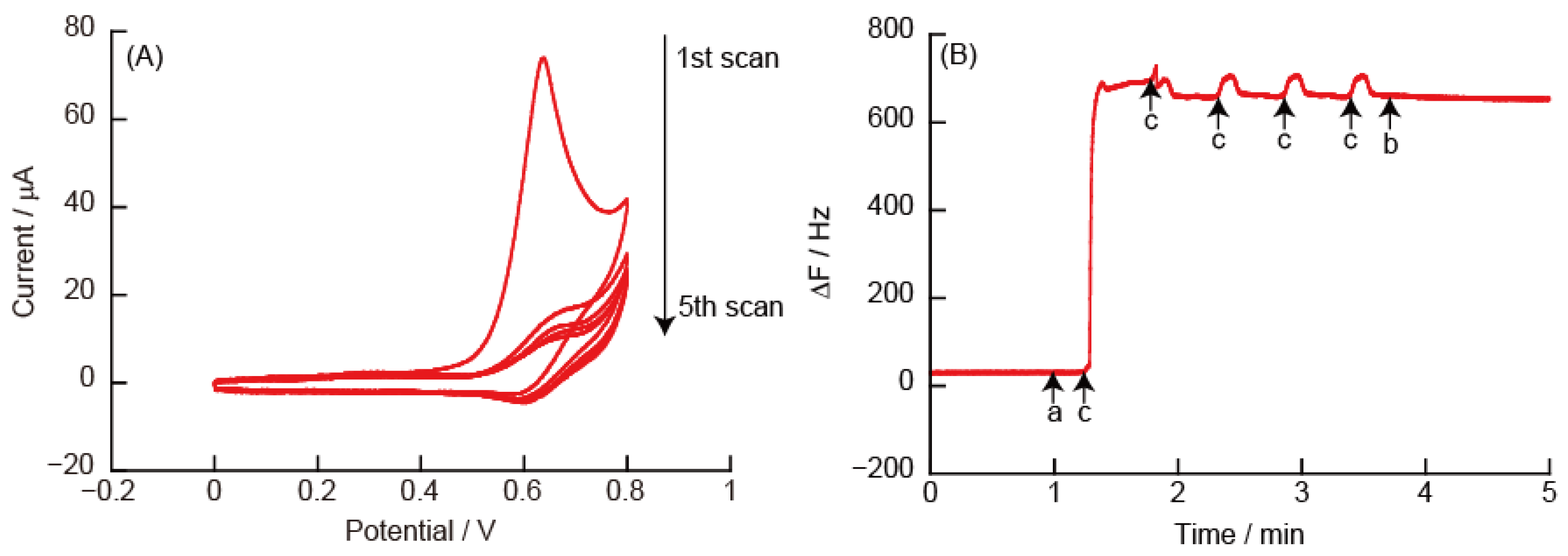 Polymers 14 05349 g006