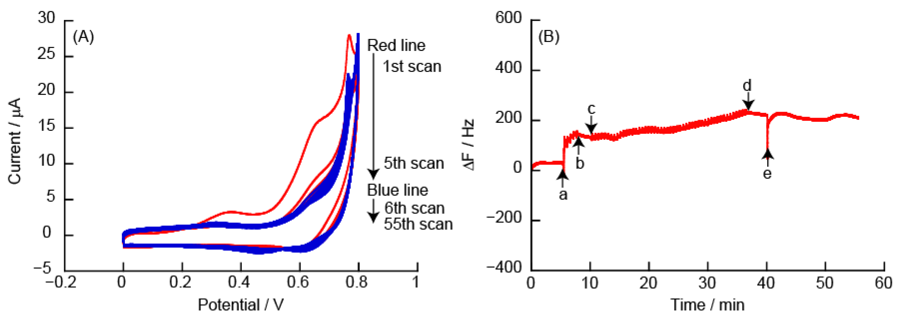 Polymers 14 05349 g009