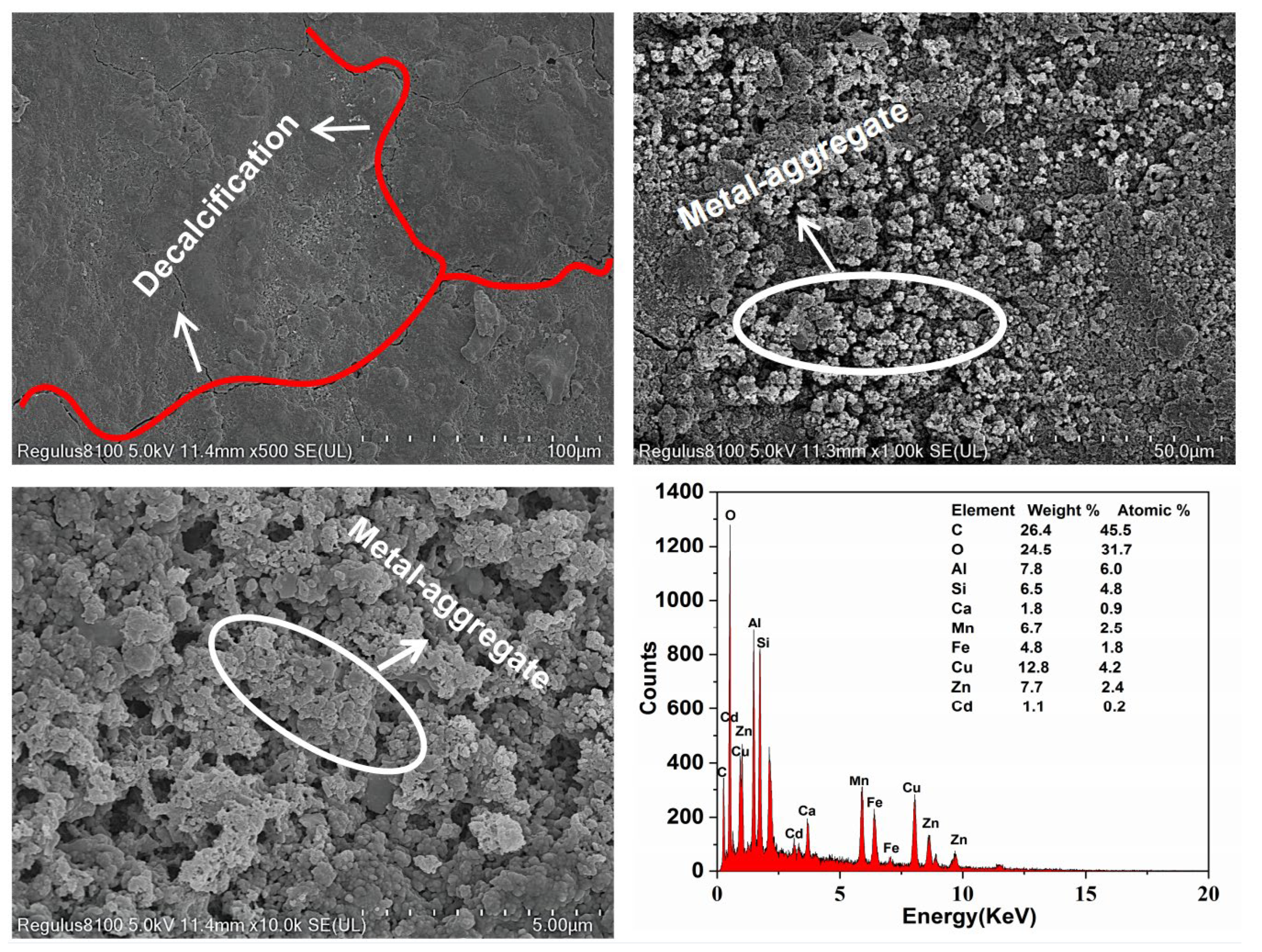 Polymers 14 05355 g007