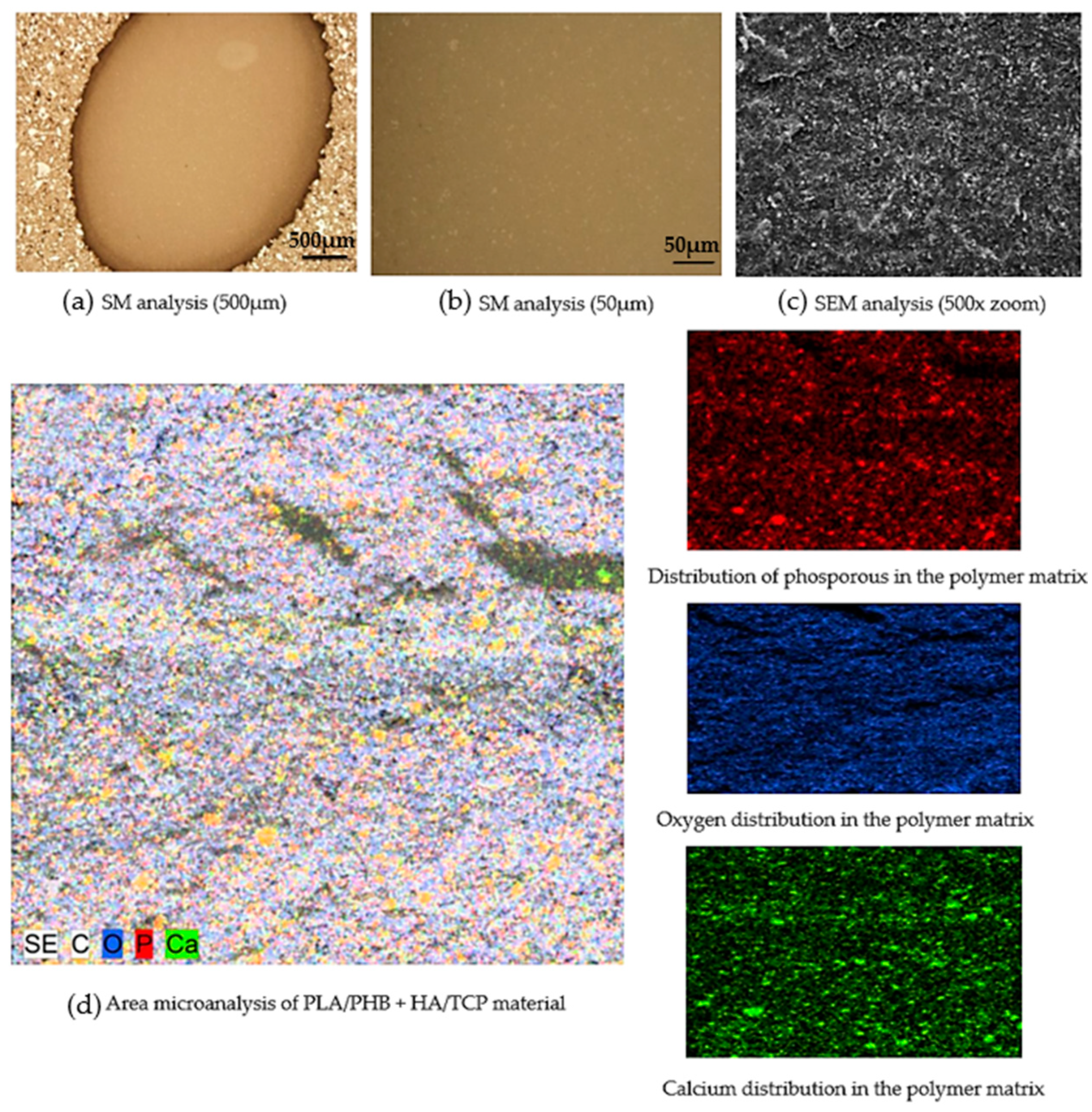 Polymers 14 05357 g008