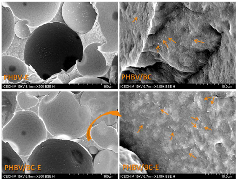 Polymers 14 05358 g002