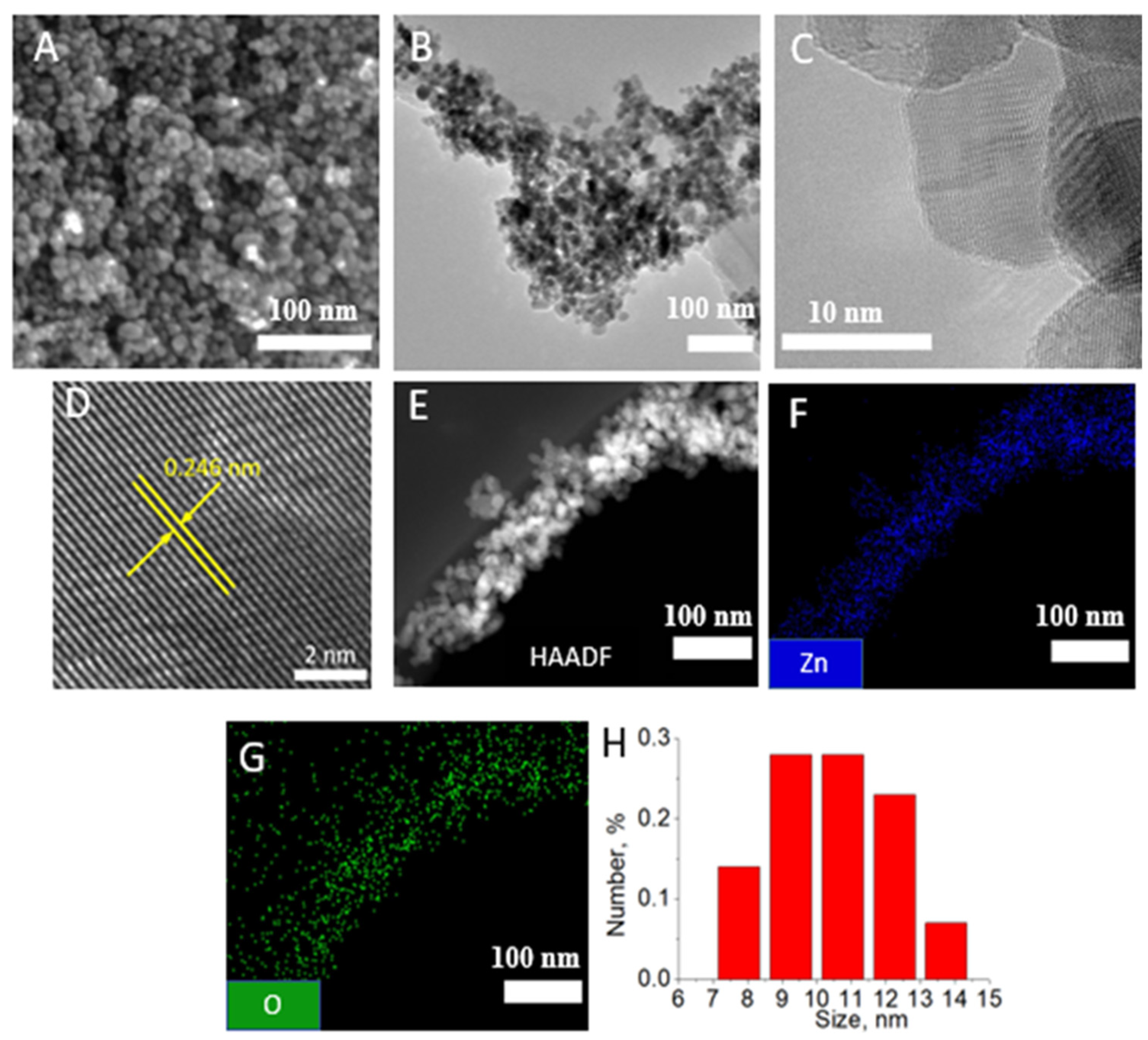 Polymers 14 05364 g001
