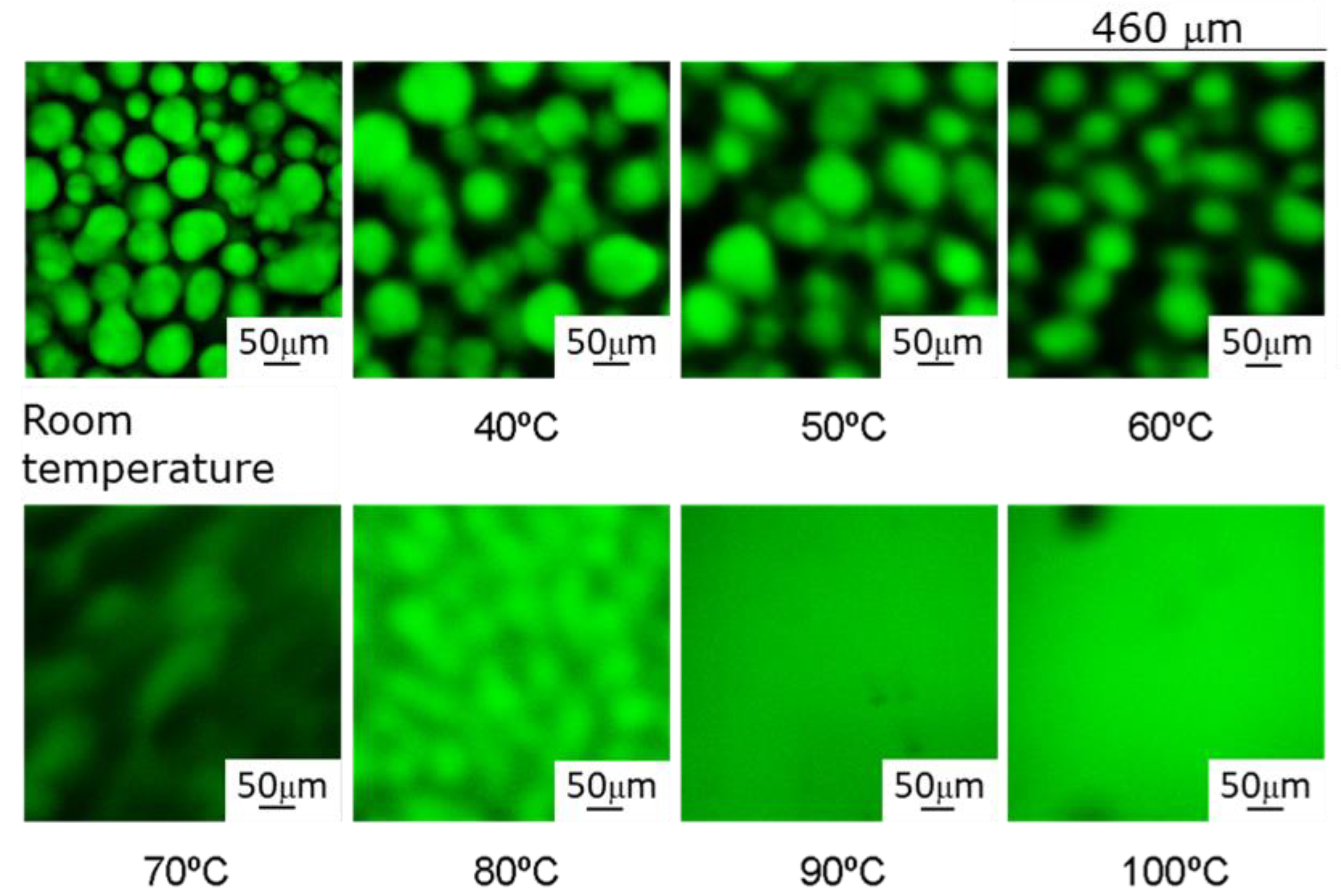 Polymers 14 05375 g002