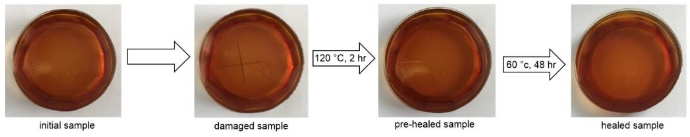 Polymers 14 05394 g002
