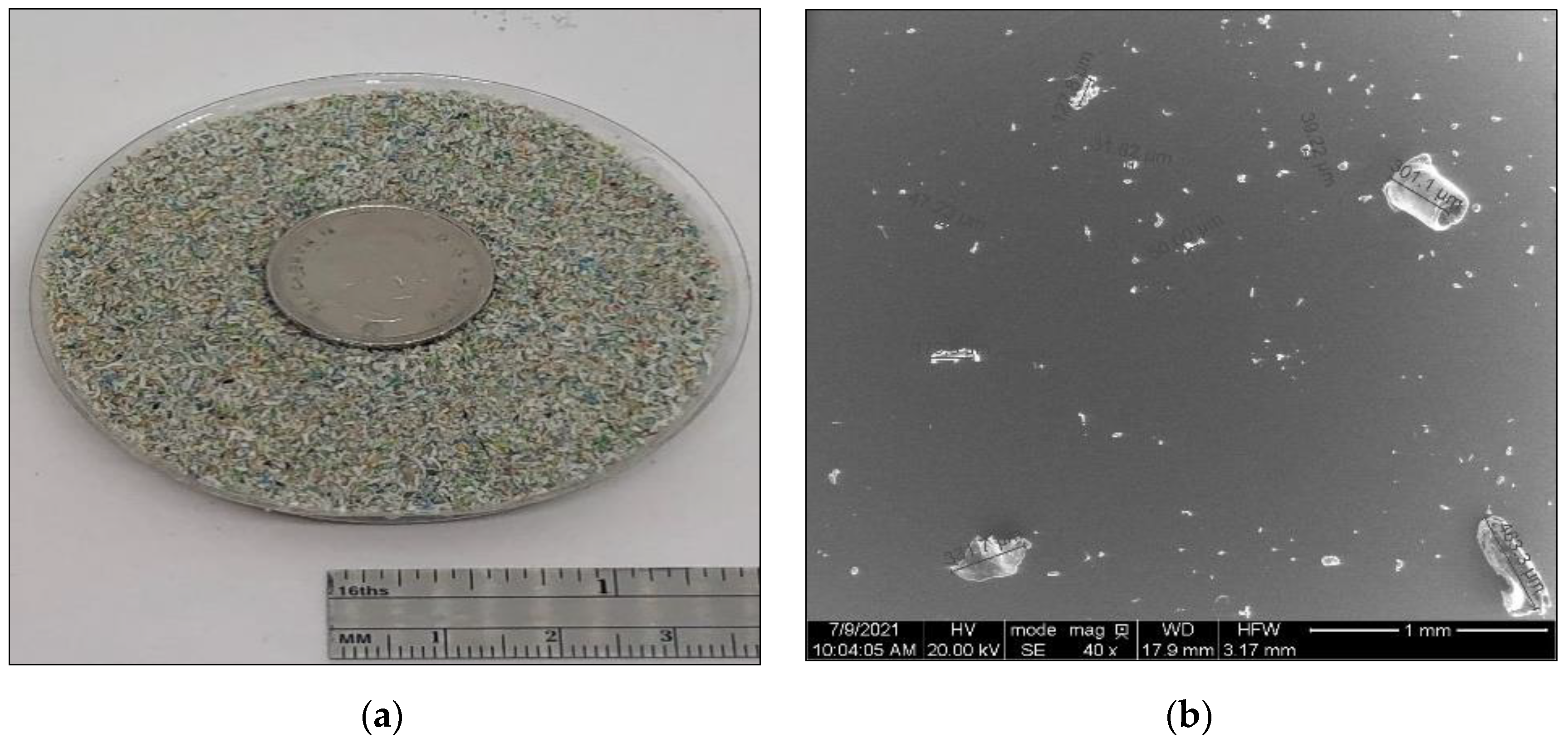 Polymers 14 05396 g001a Polymers 14 05396 g001a