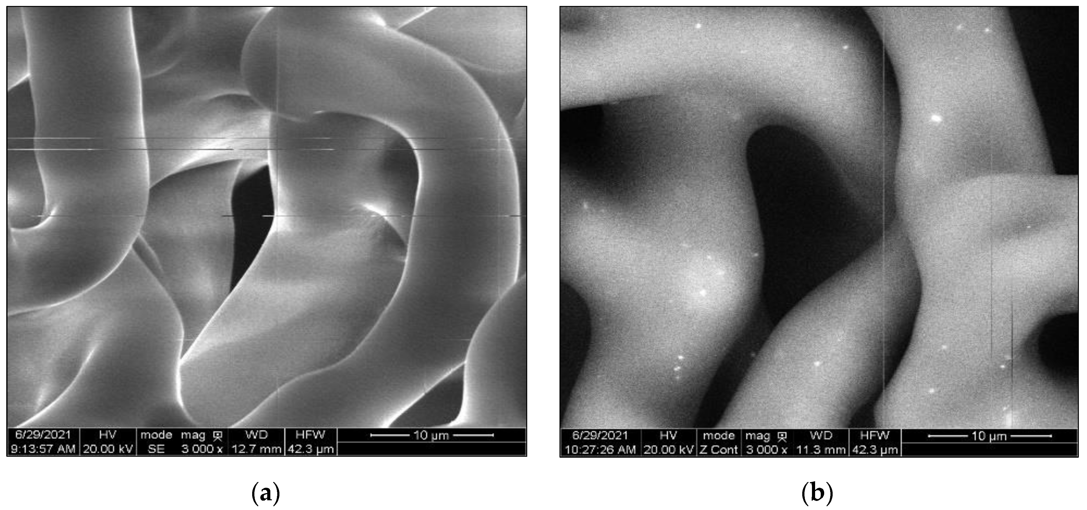 Polymers 14 05396 g002 Polymers 14 05396 g002