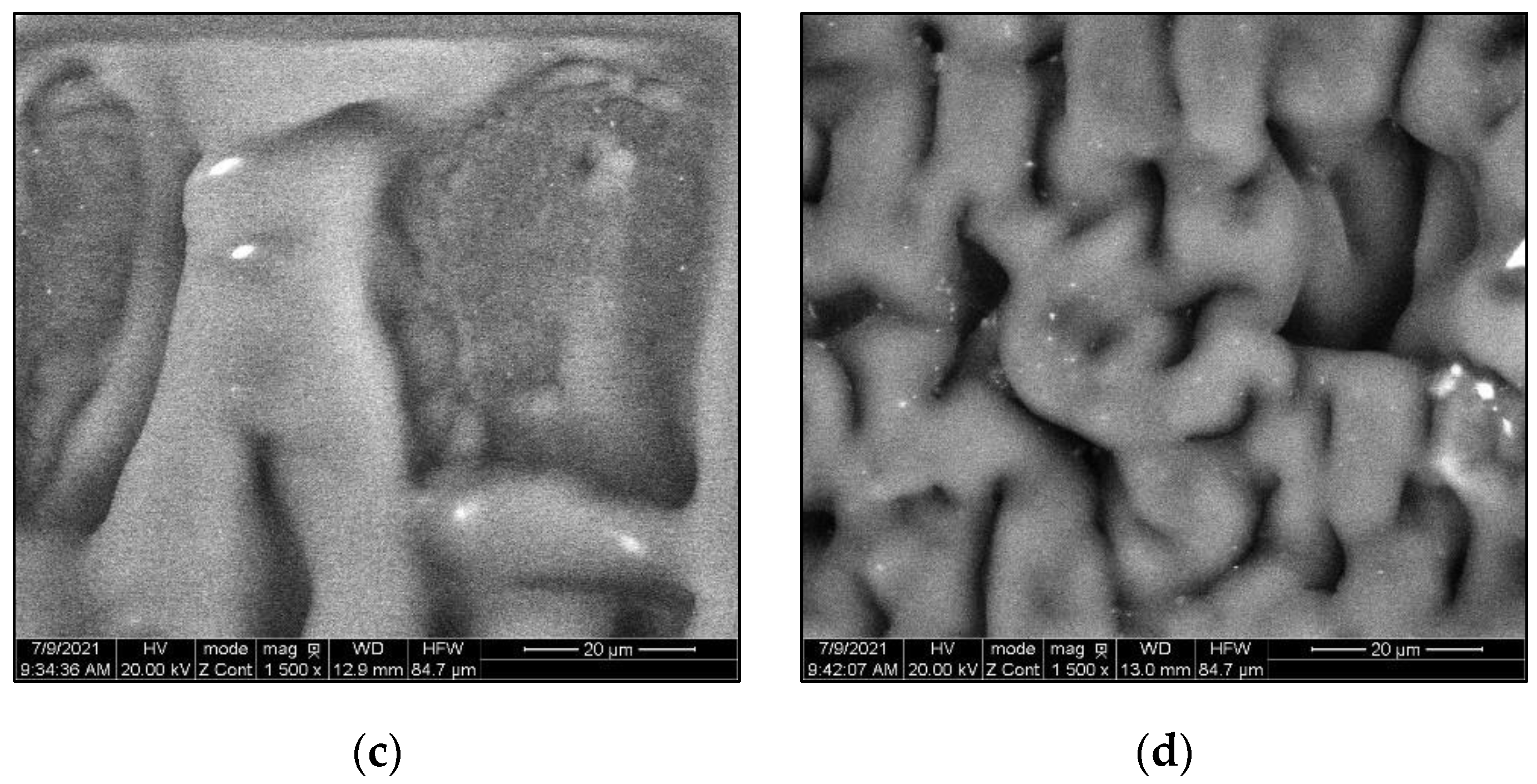 Polymers 14 05396 g014b Polymers 14 05396 g014b