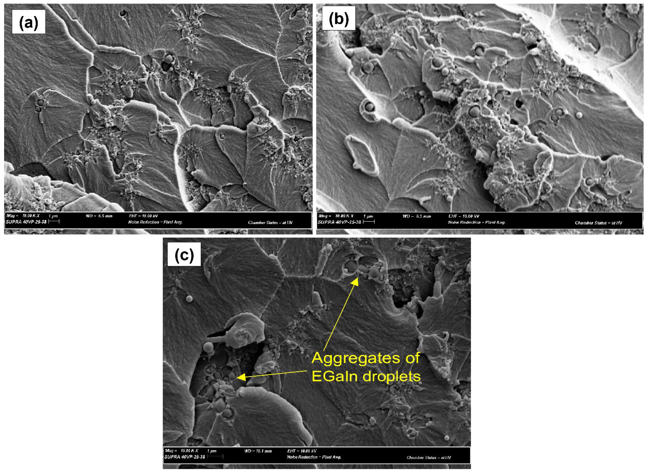 Polymers 14 05397 g002 Polymers 14 05397 g002