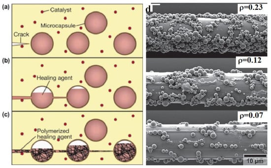 Polymers 14 05404 g010