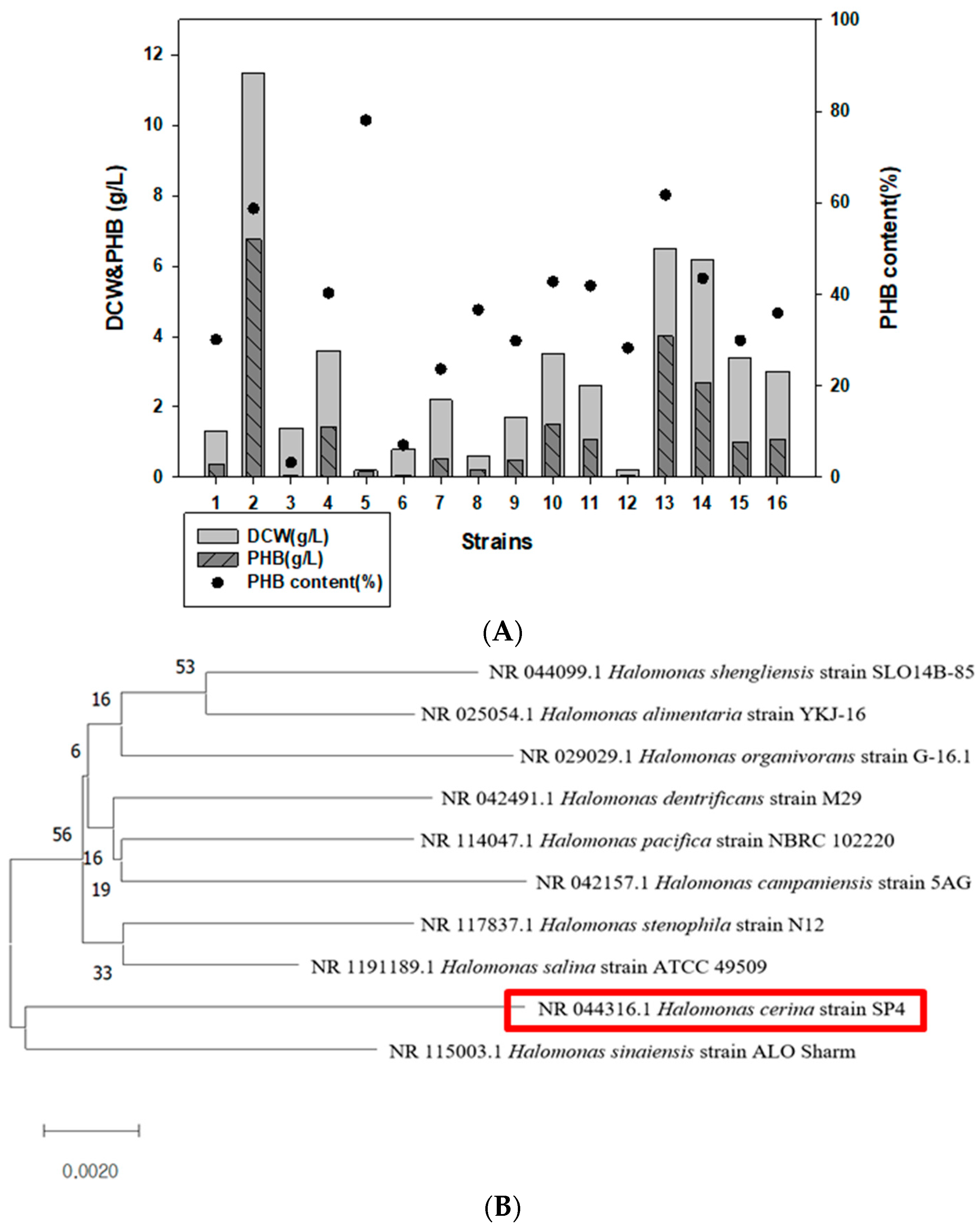 Polymers 14 05407 g001a