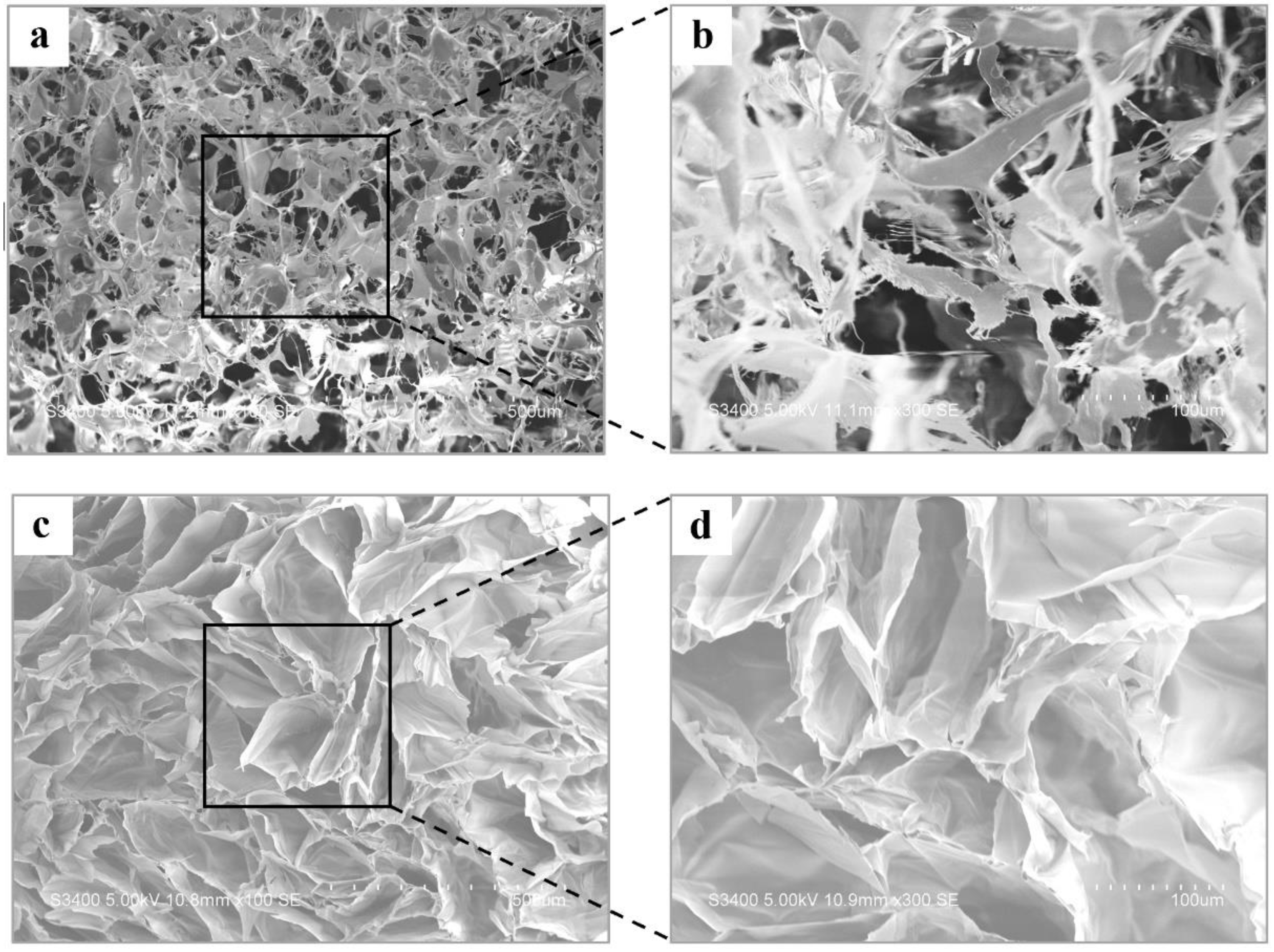 Polymers 14 05430 g001