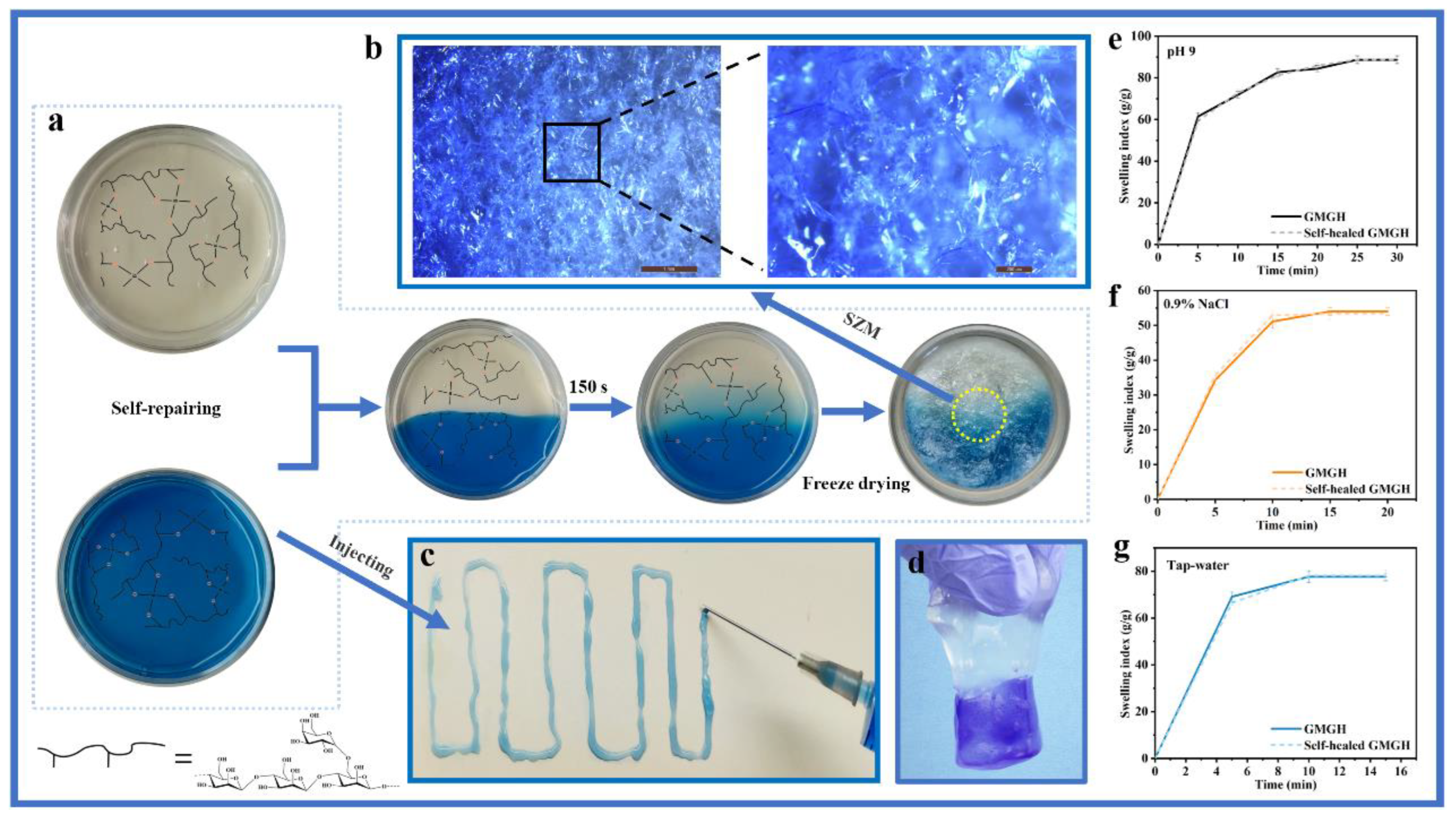 Polymers 14 05430 g003