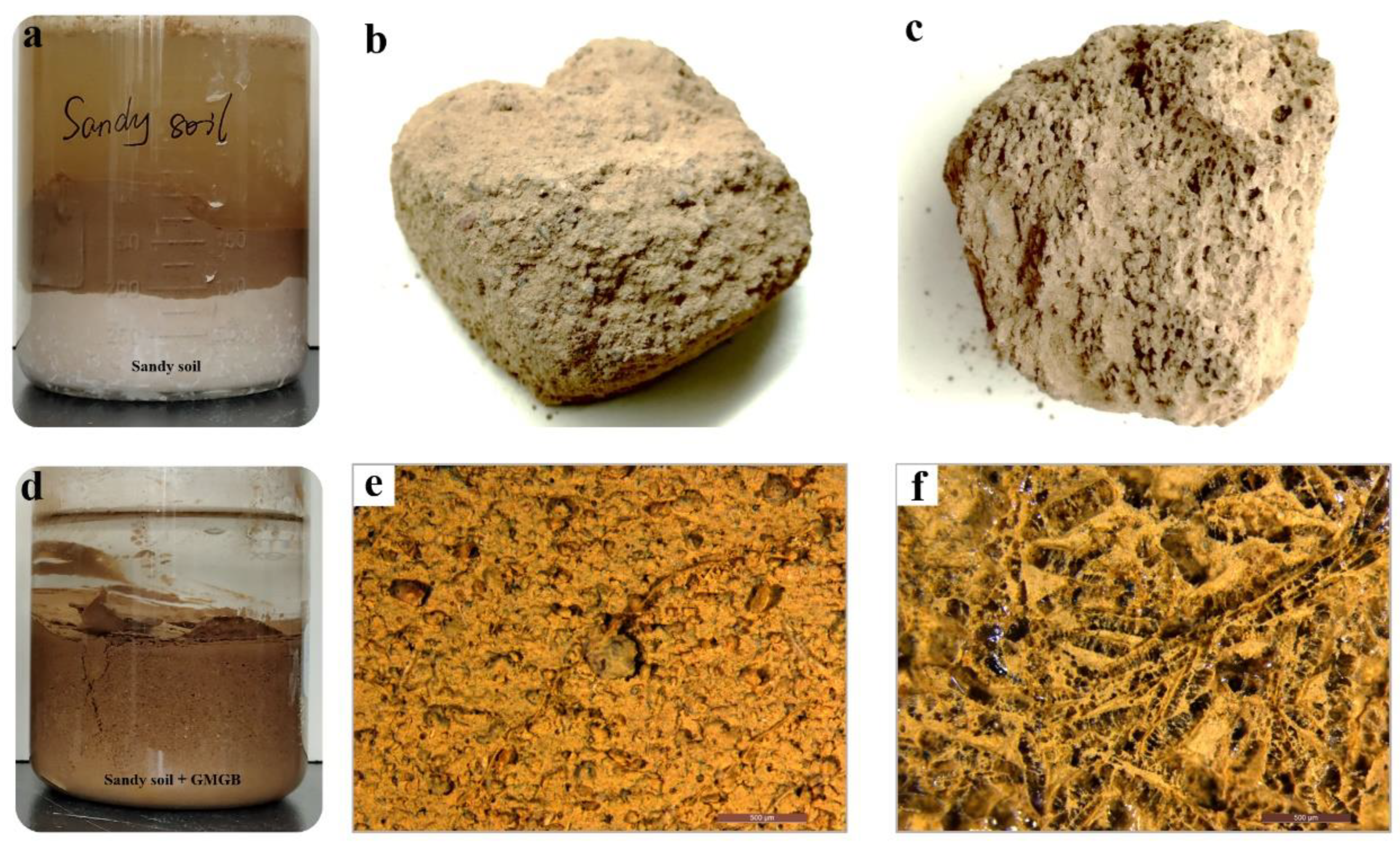 Polymers 14 05430 g004