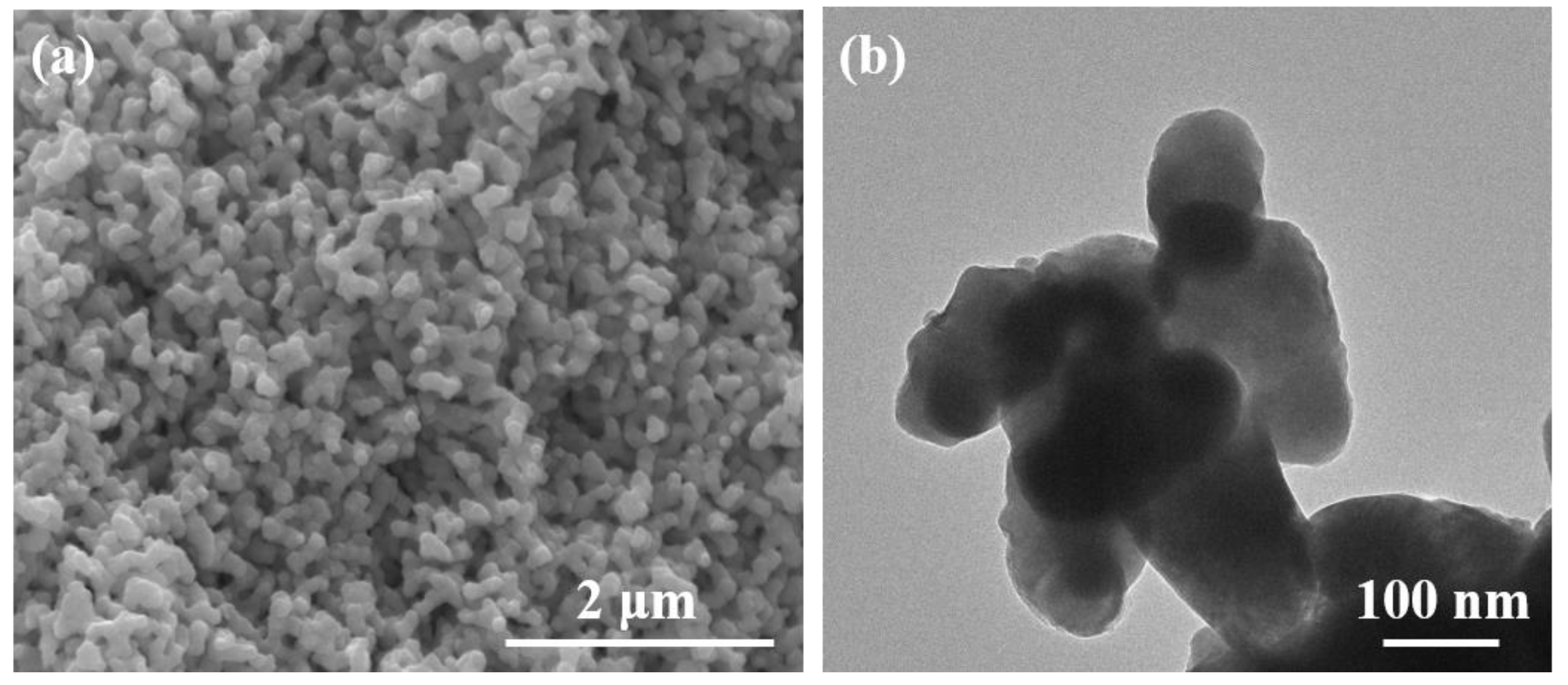 Polymers 14 05437 g002