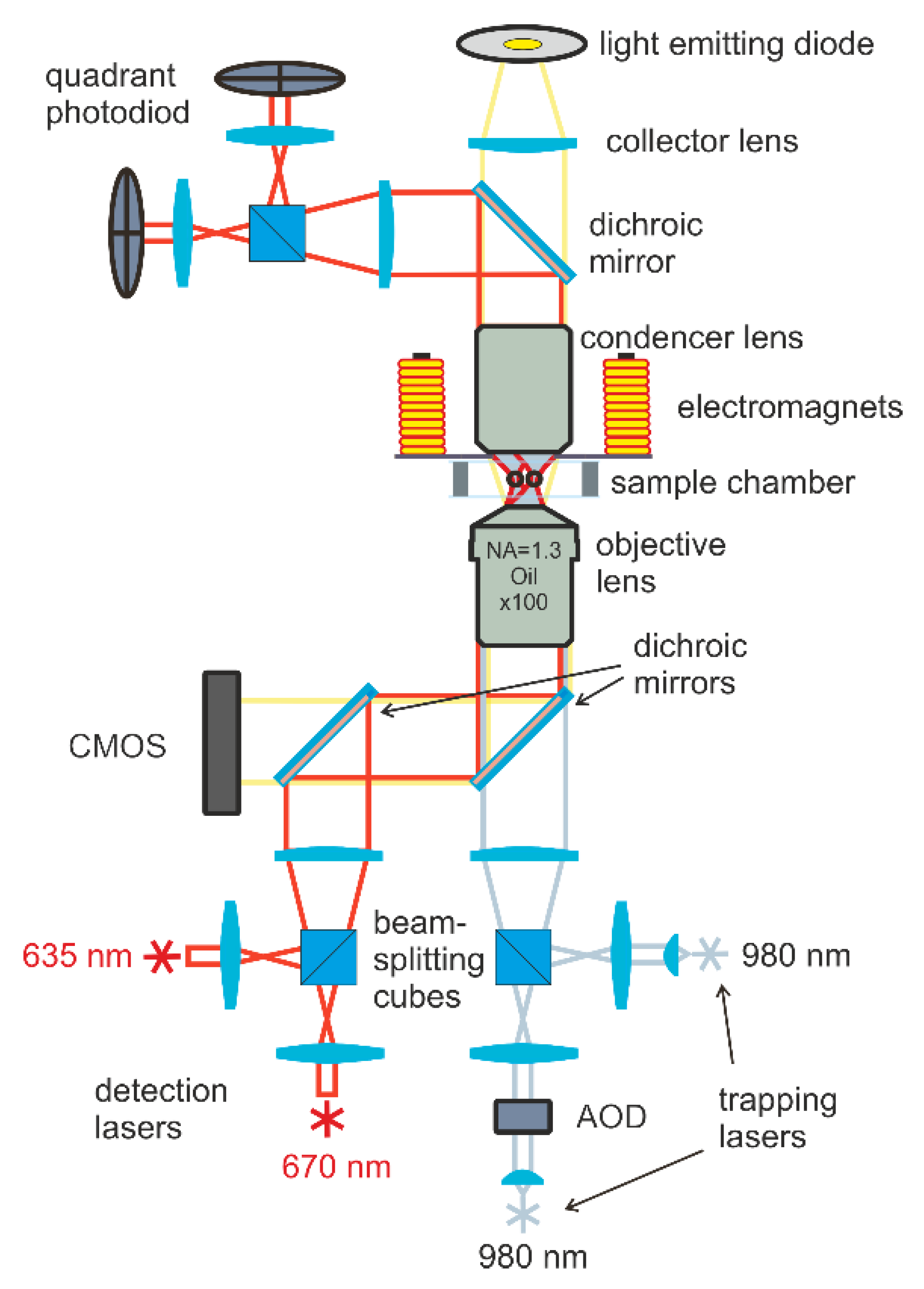 Polymers 14 05440 g001