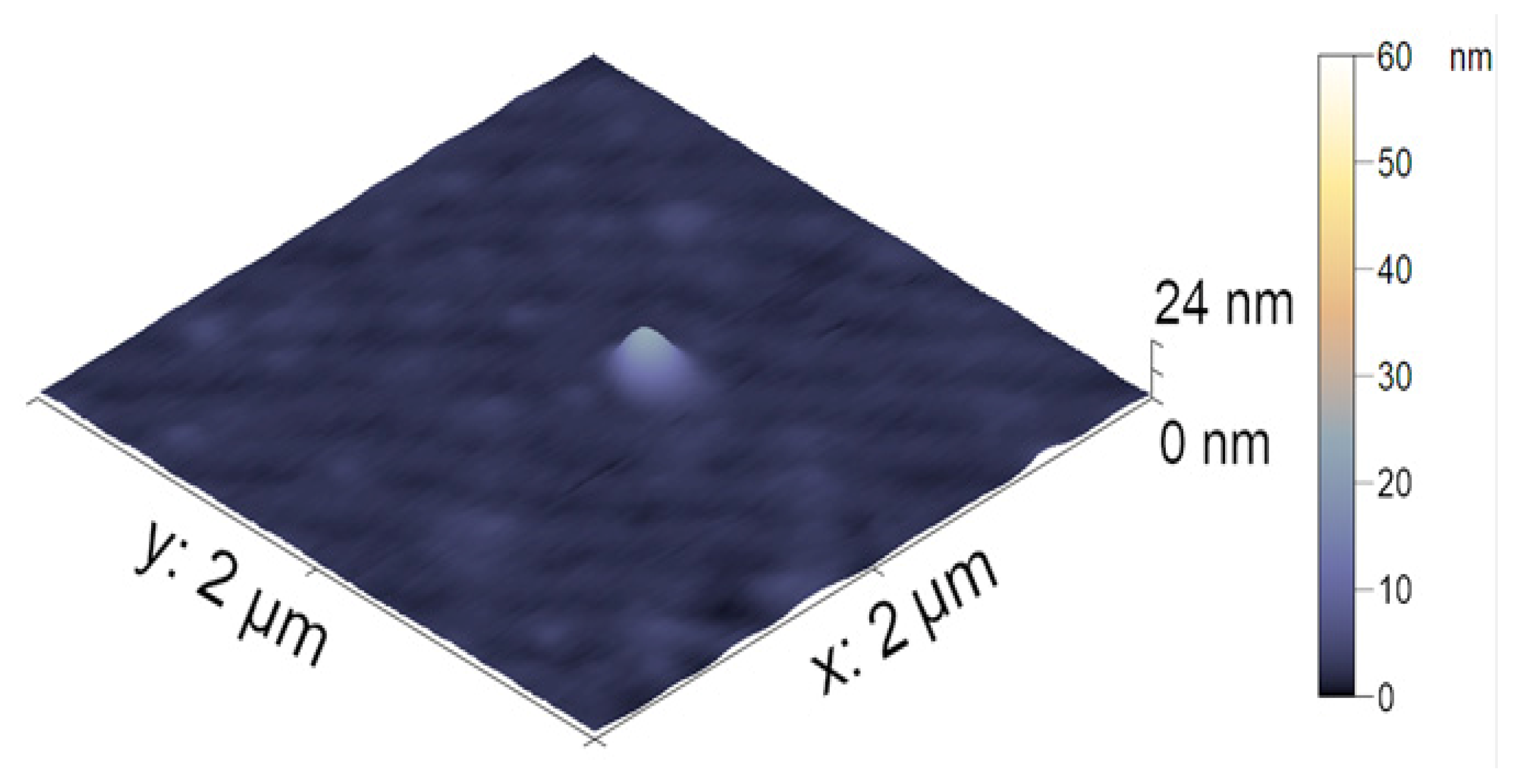 Polymers 14 05440 g007