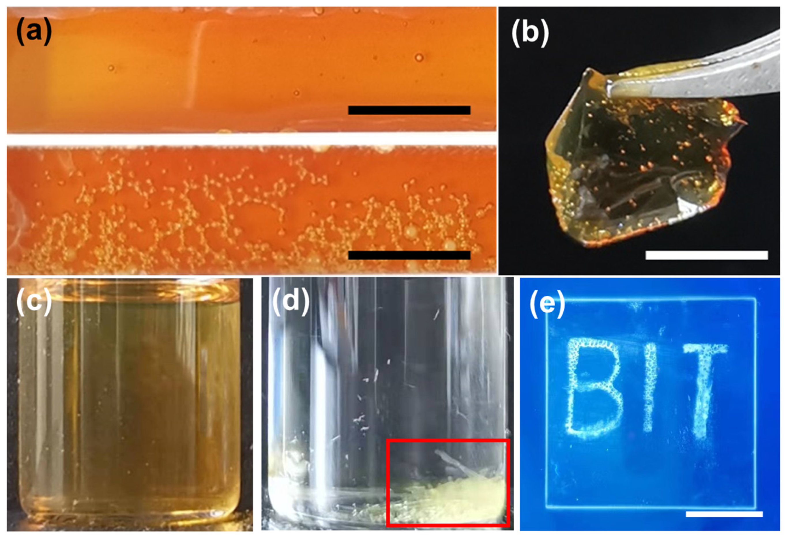 Polymers 14 05451 g001