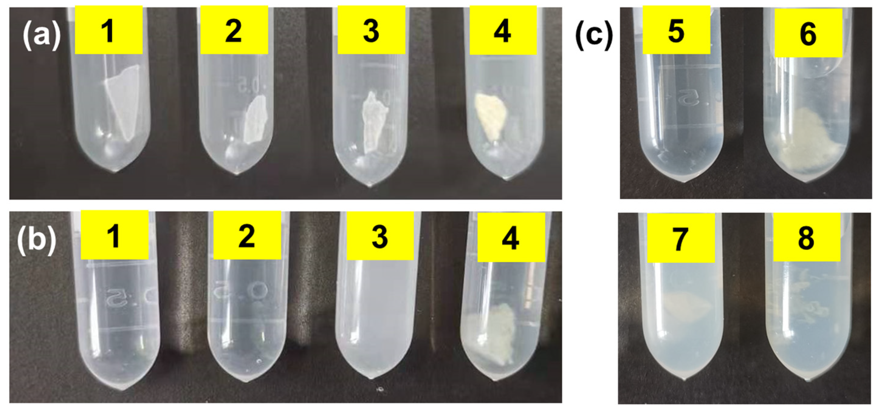 Polymers 14 05451 g004