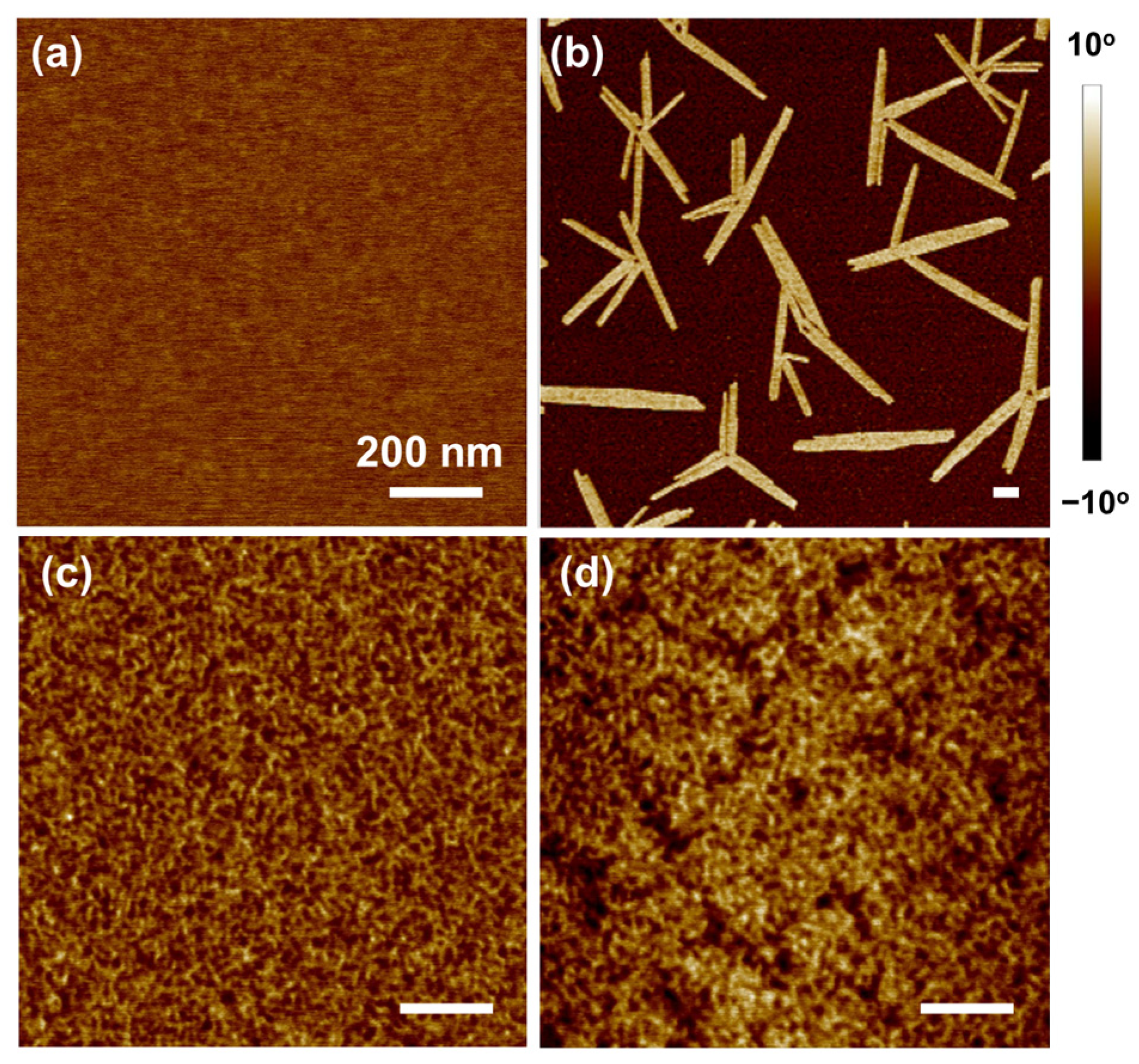 Polymers 14 05451 g005