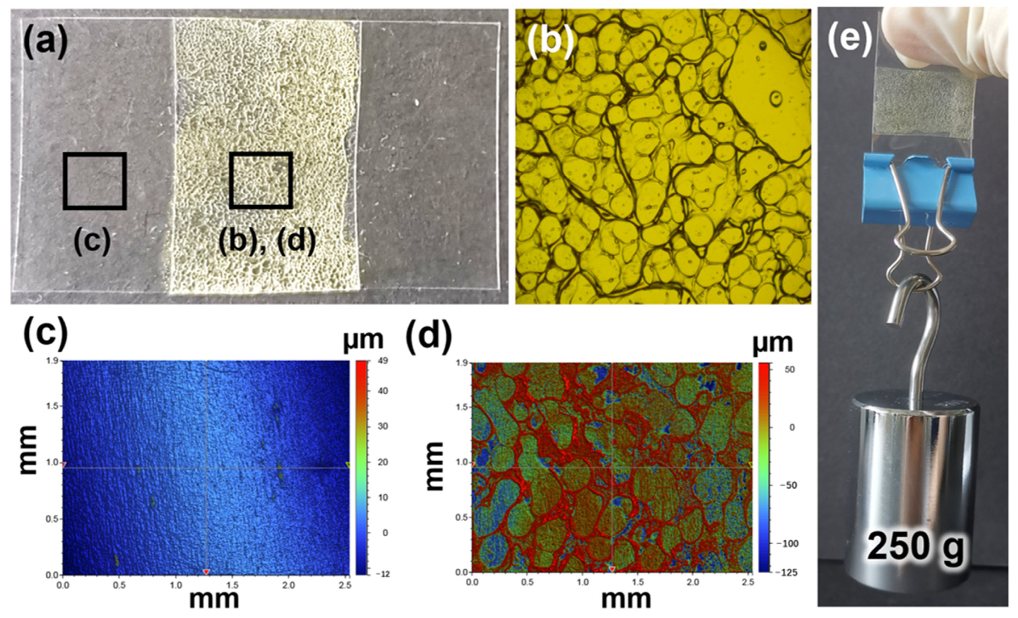 Polymers 14 05451 g006