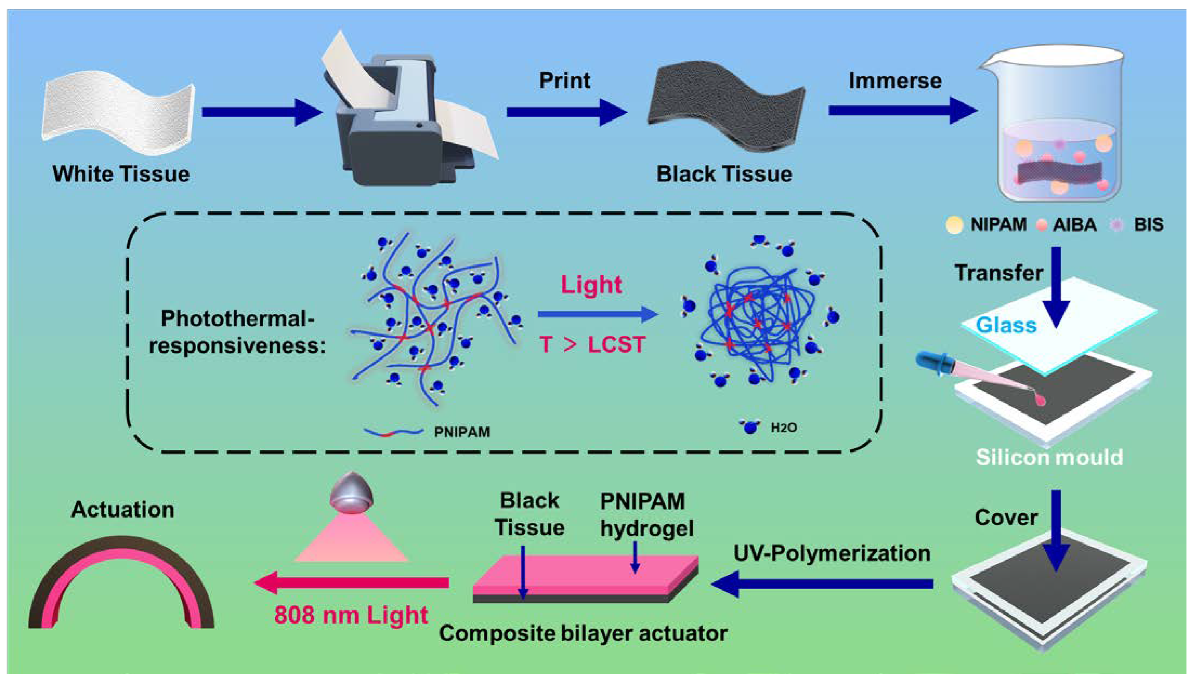 Polymers 14 05454 g001