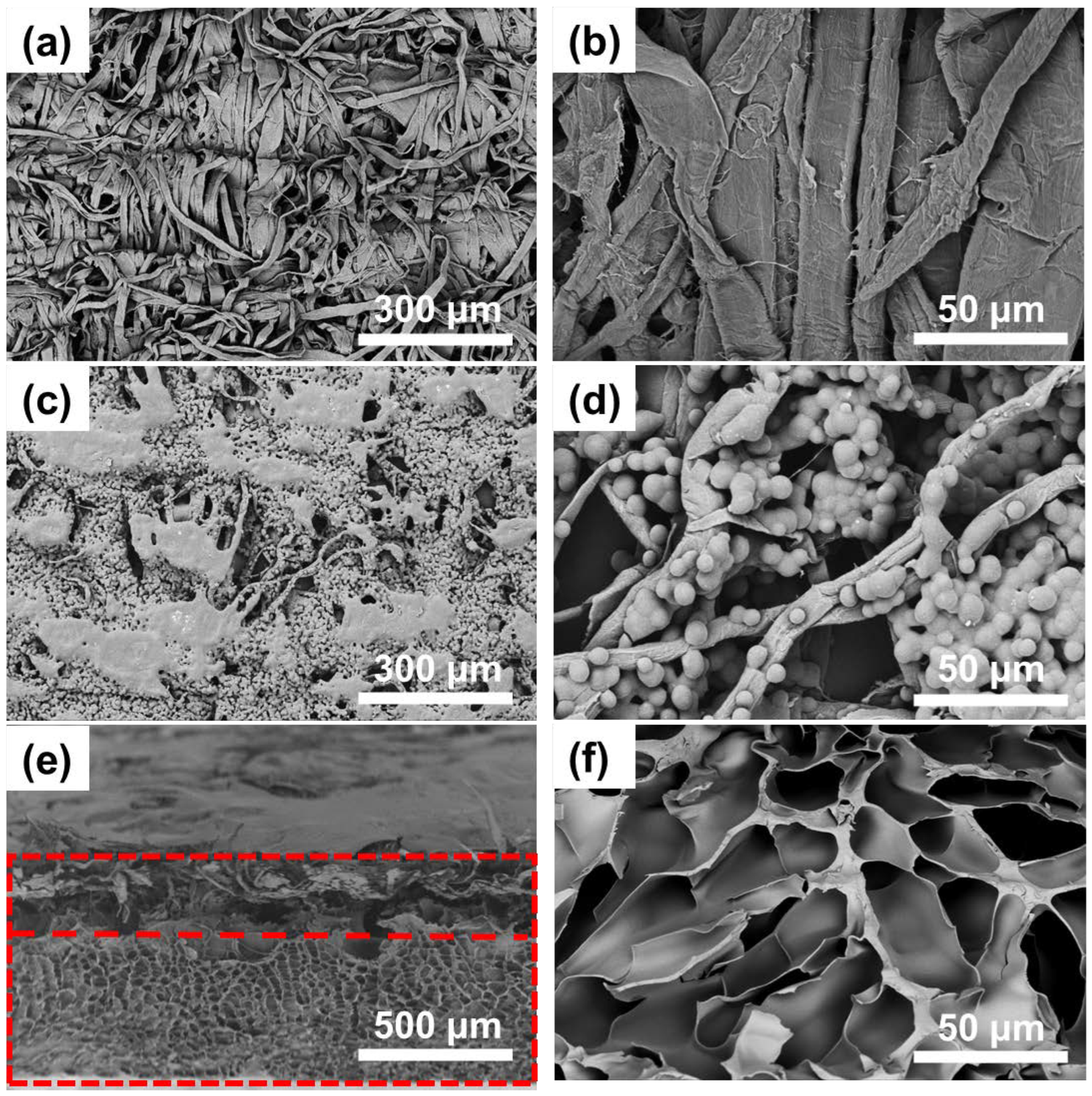 Polymers 14 05454 g002