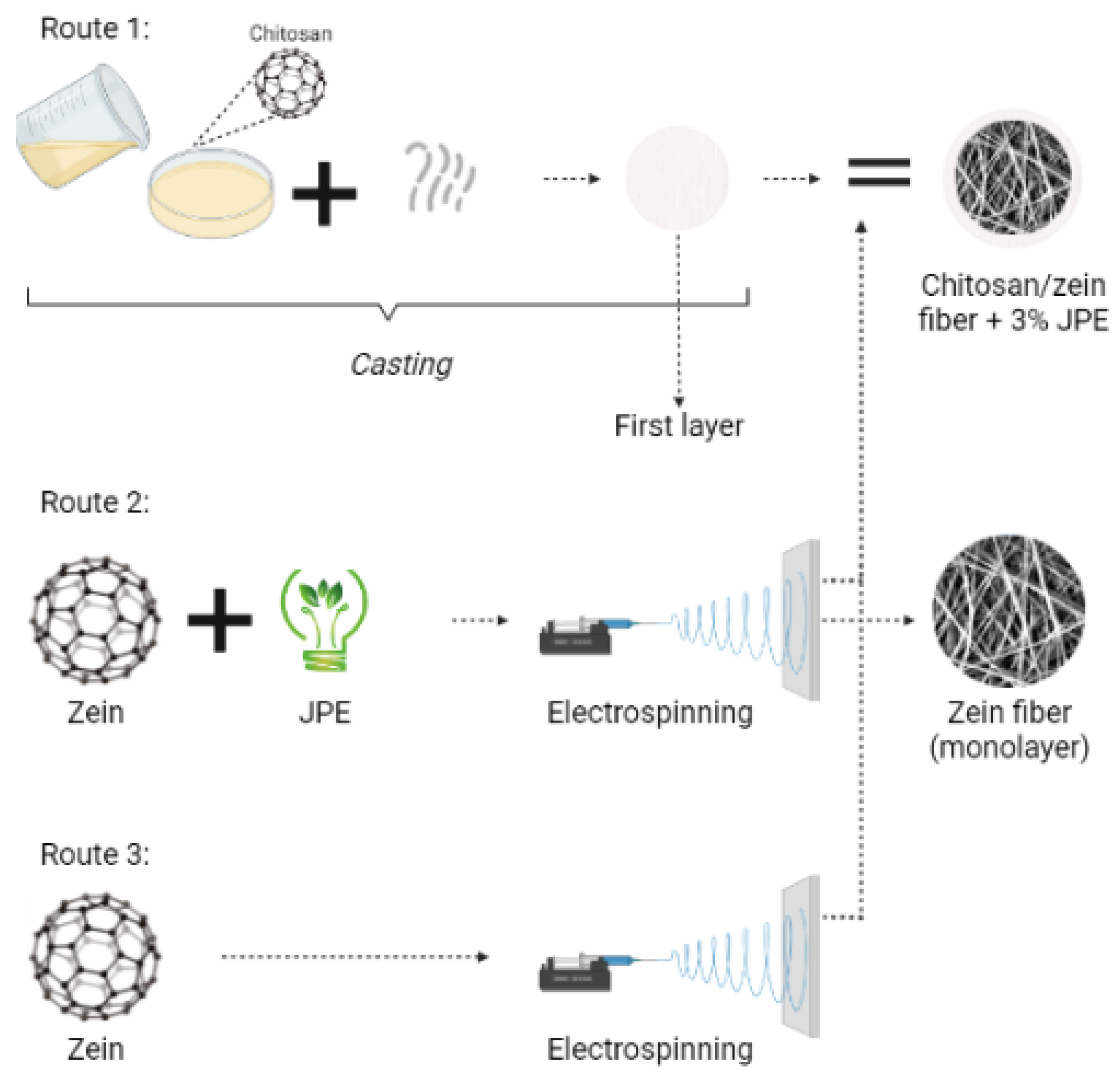 Polymers 14 05457 g001