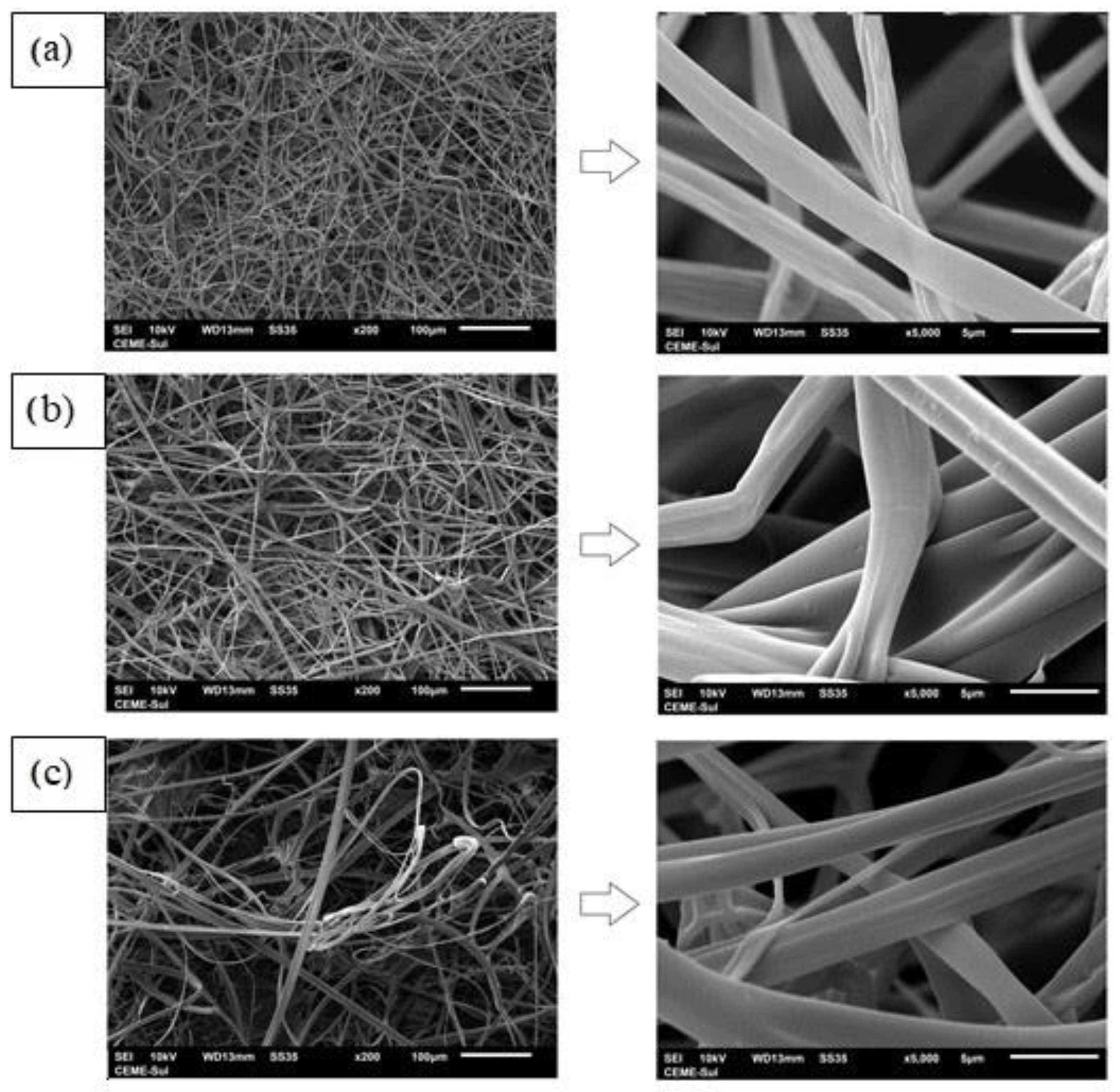 Polymers 14 05457 g003