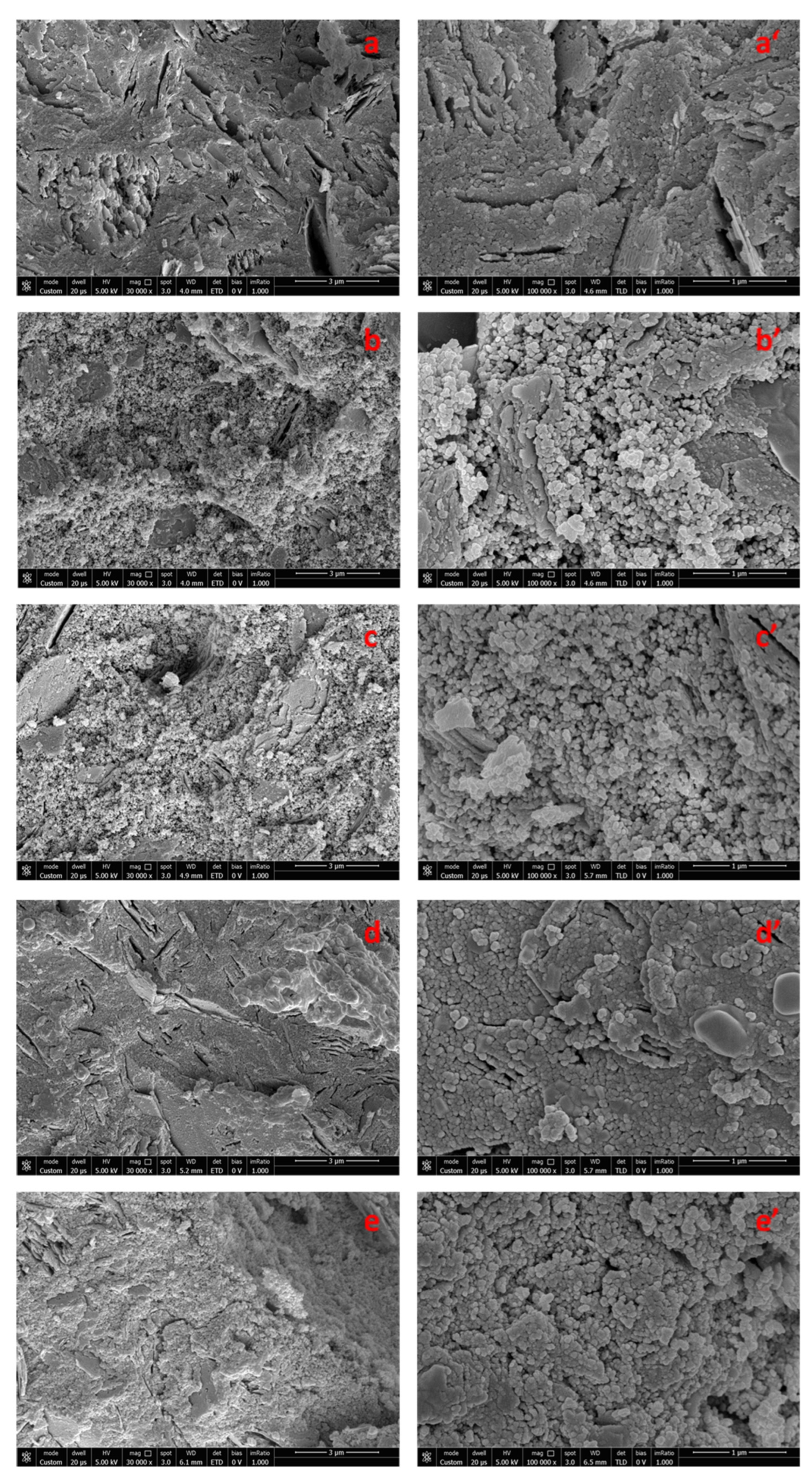Polymers 14 05461 g004