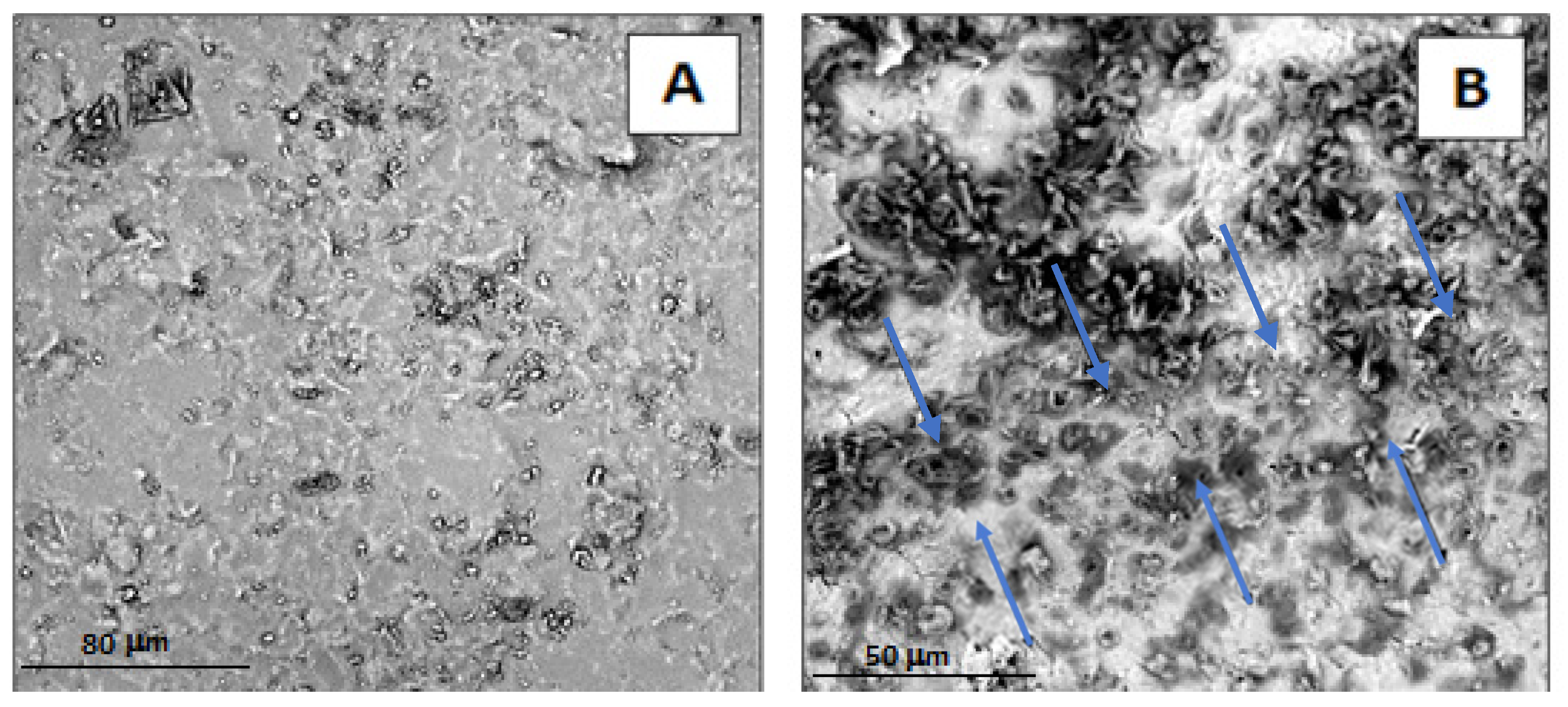 Polymers 14 05461 g009