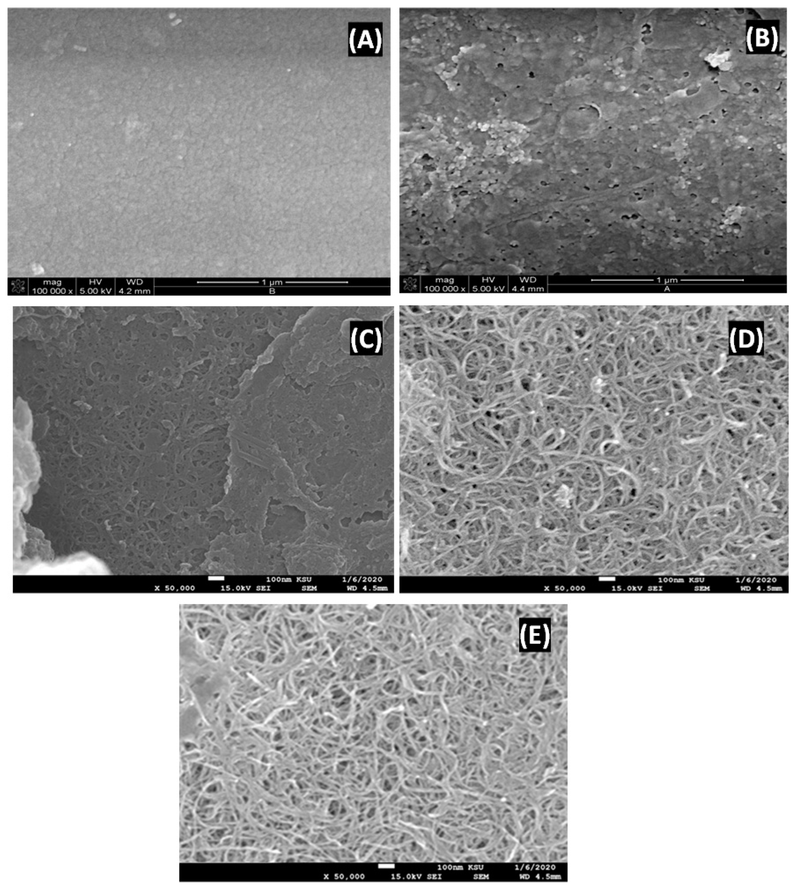 Polymers 14 05463 g002