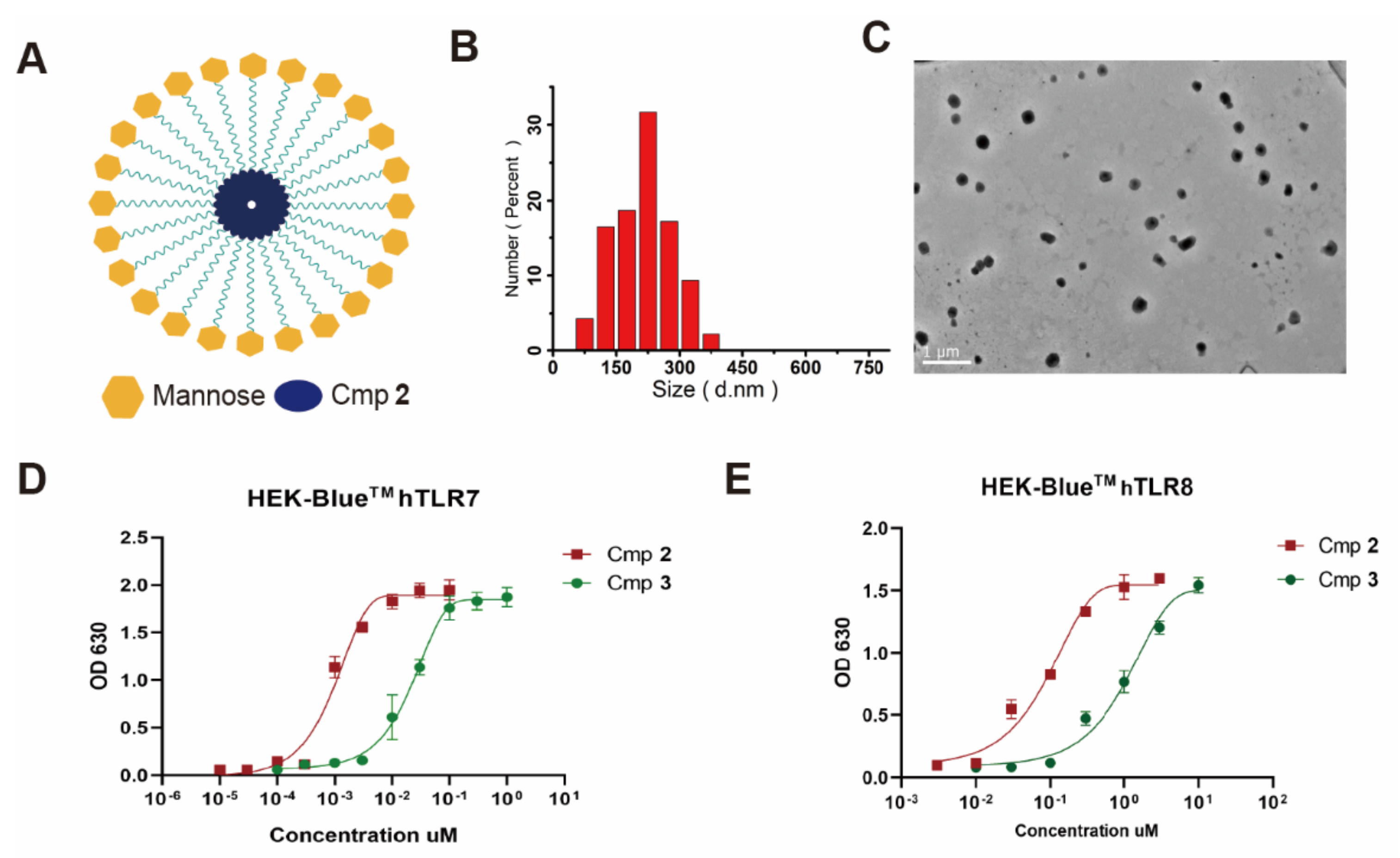 Polymers 14 05466 g001