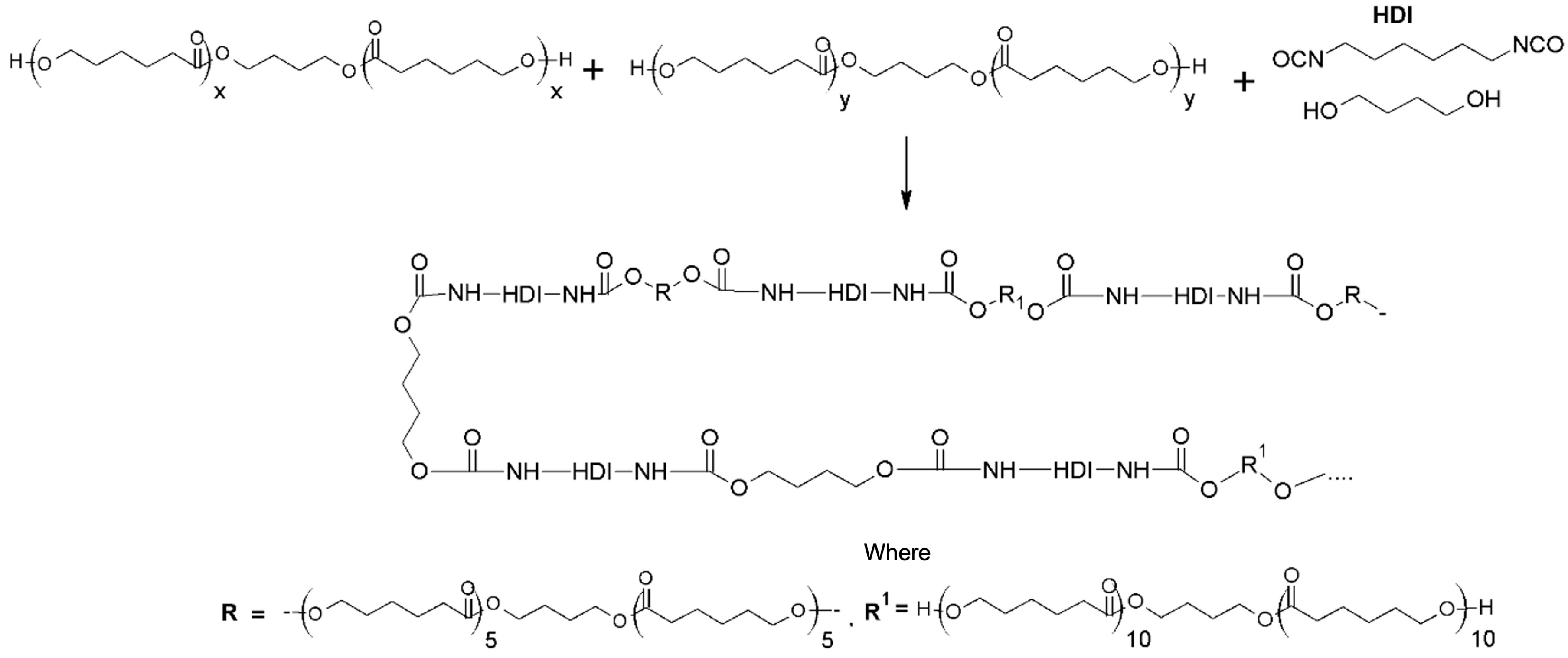 Polymers 14 05468 g001 Polymers 14 05468 g001