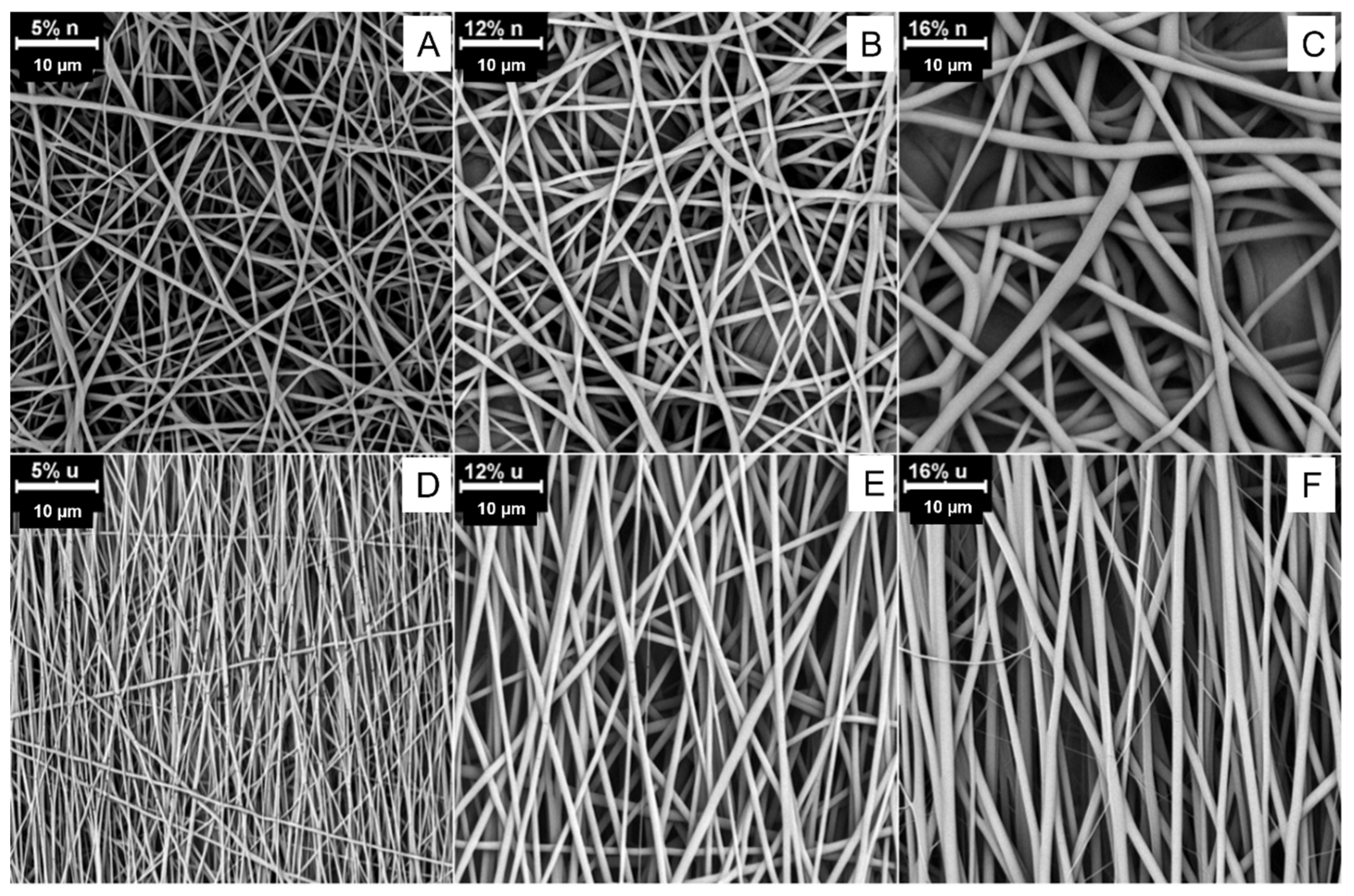 Polymers 14 05468 g002 Polymers 14 05468 g002